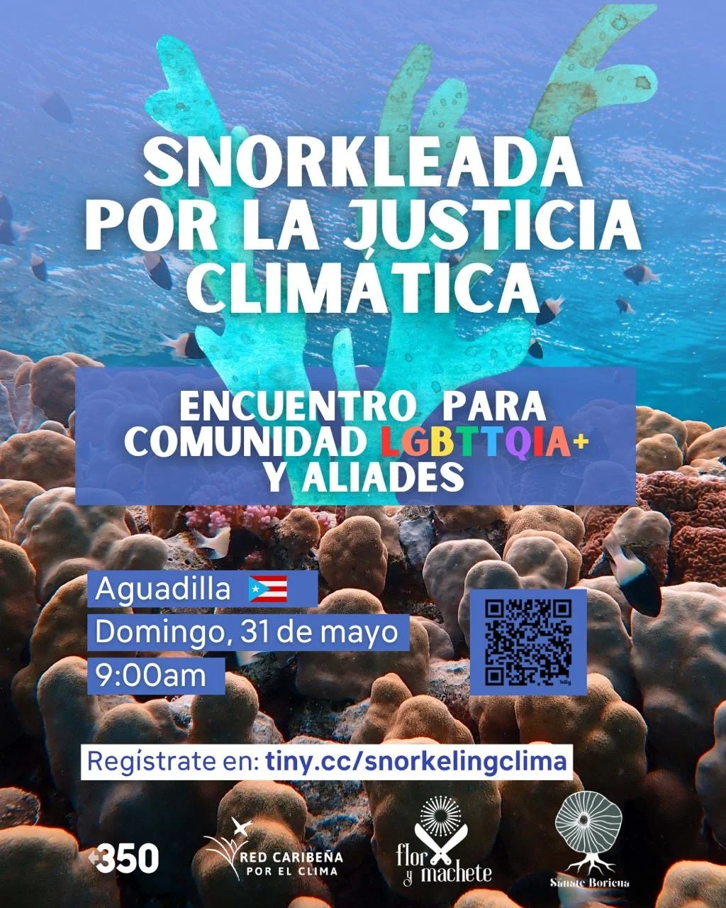 snorkelada.JPG