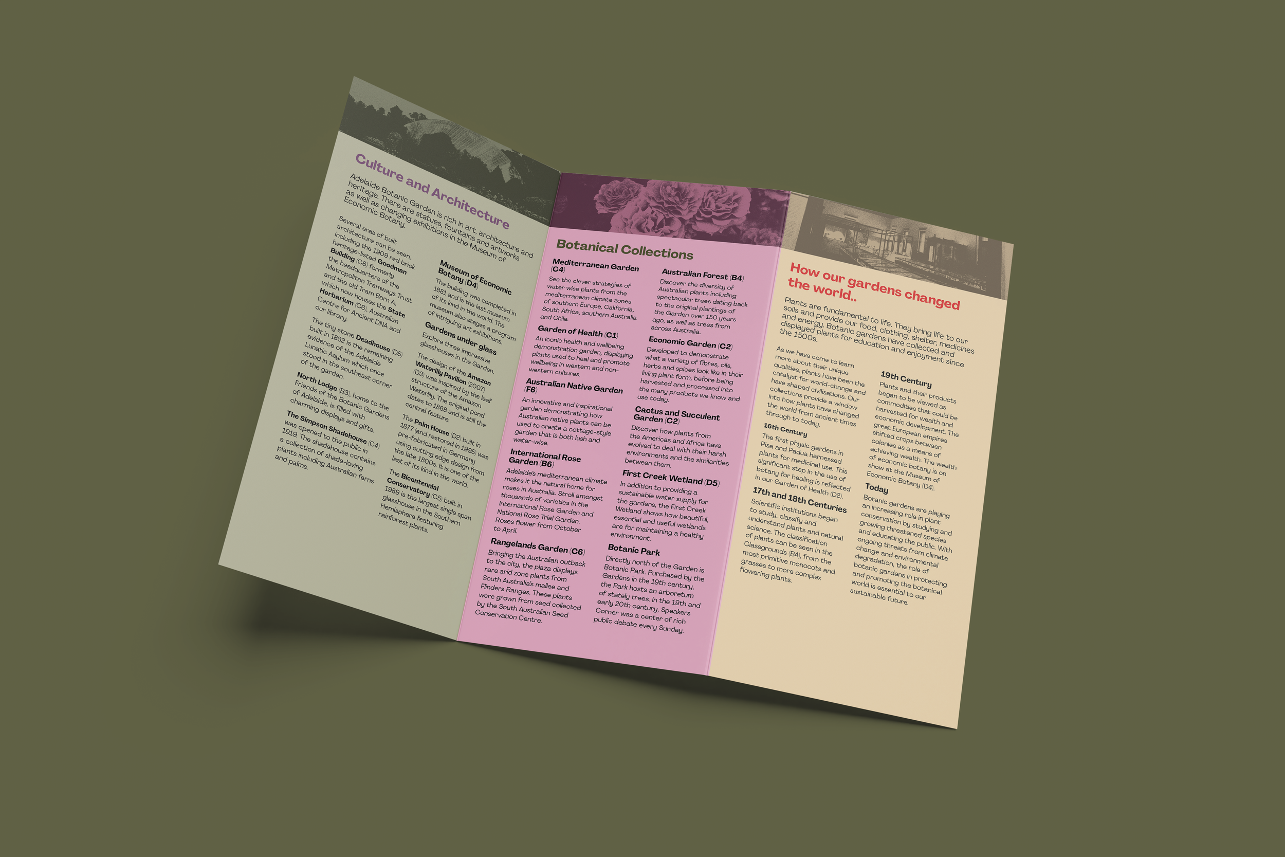 brochure 04.png