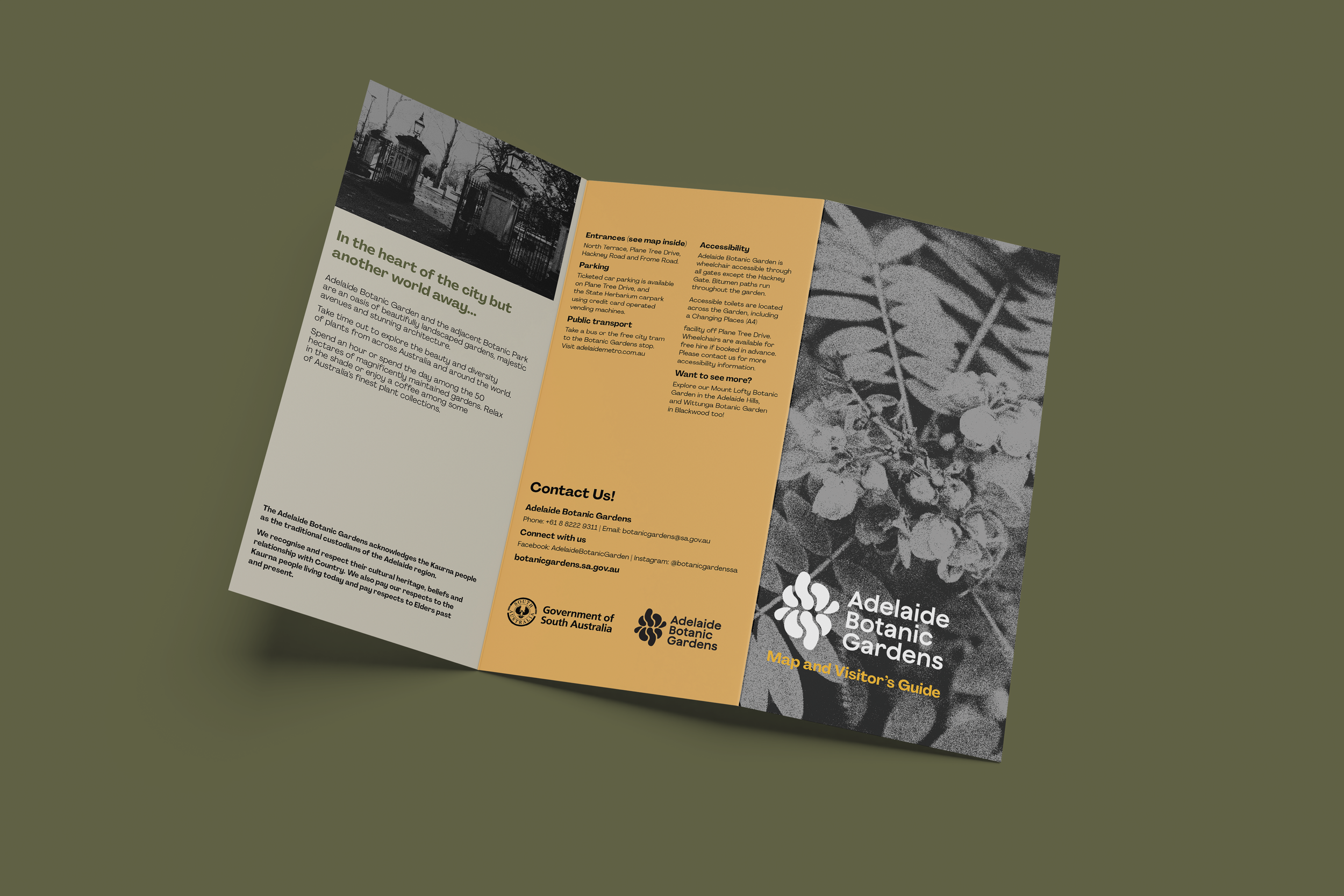 brochure 02.png