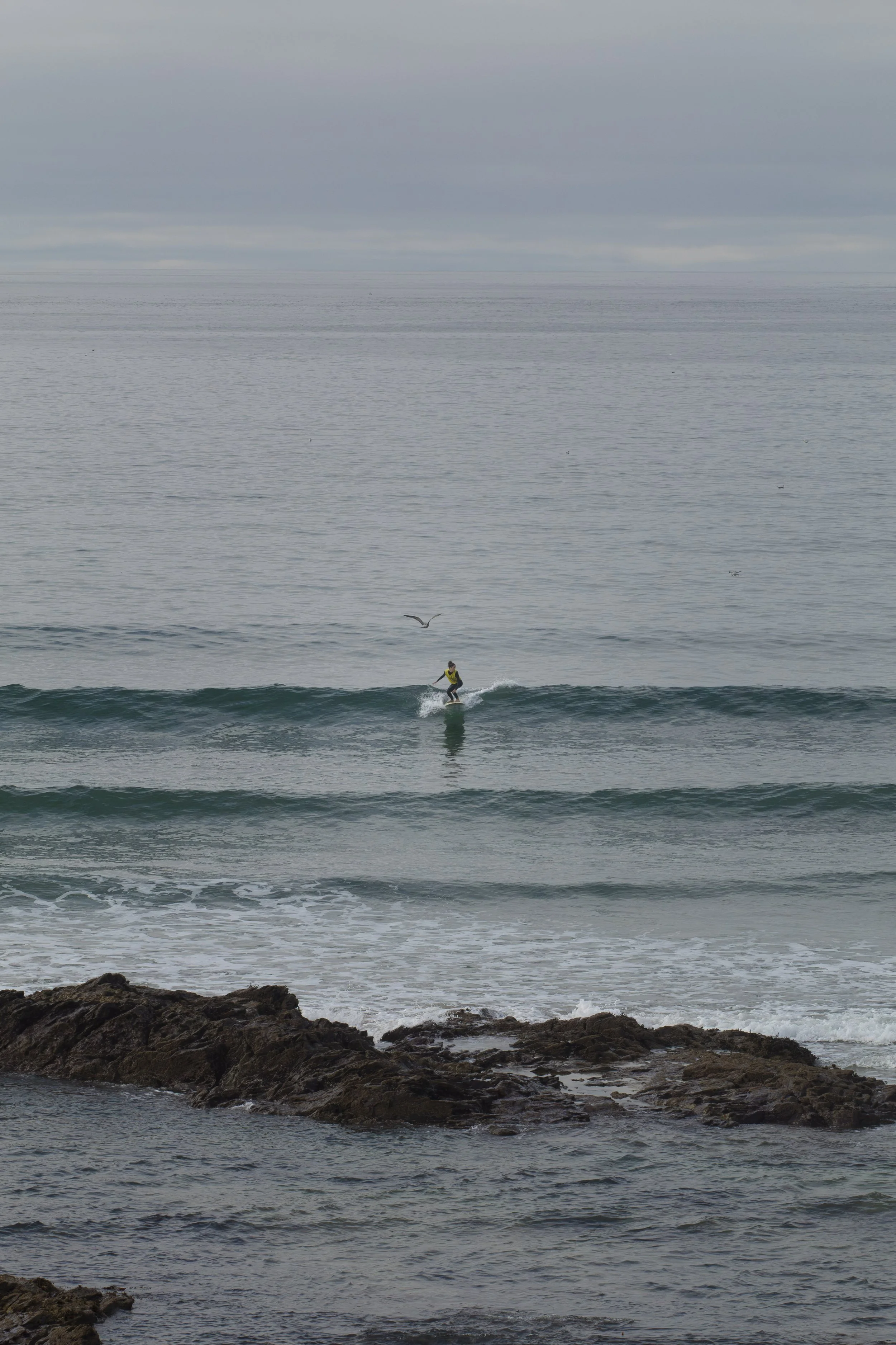 26100304_CommonGroundComp-37.jpg
