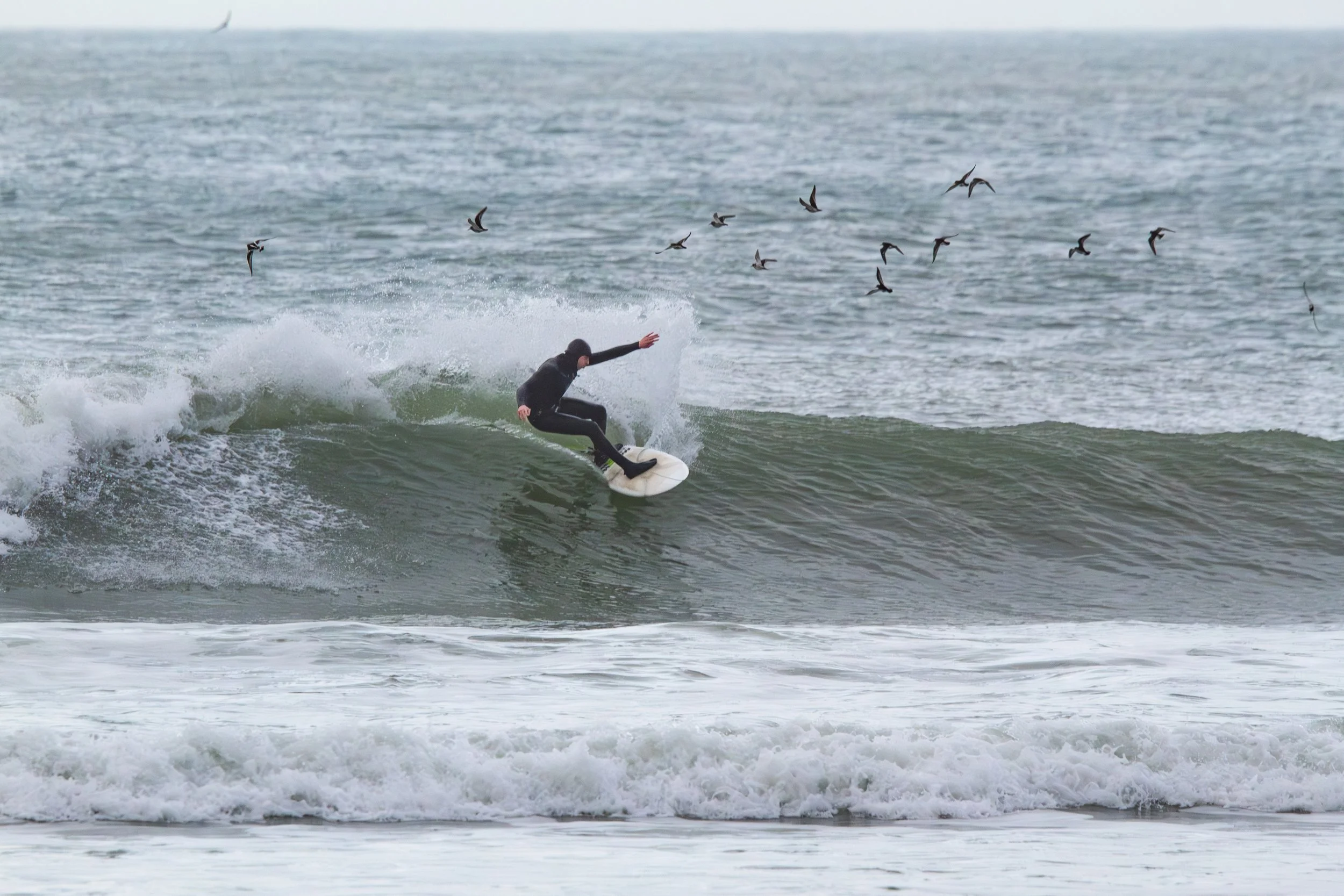 Fistral Beach, January 2026