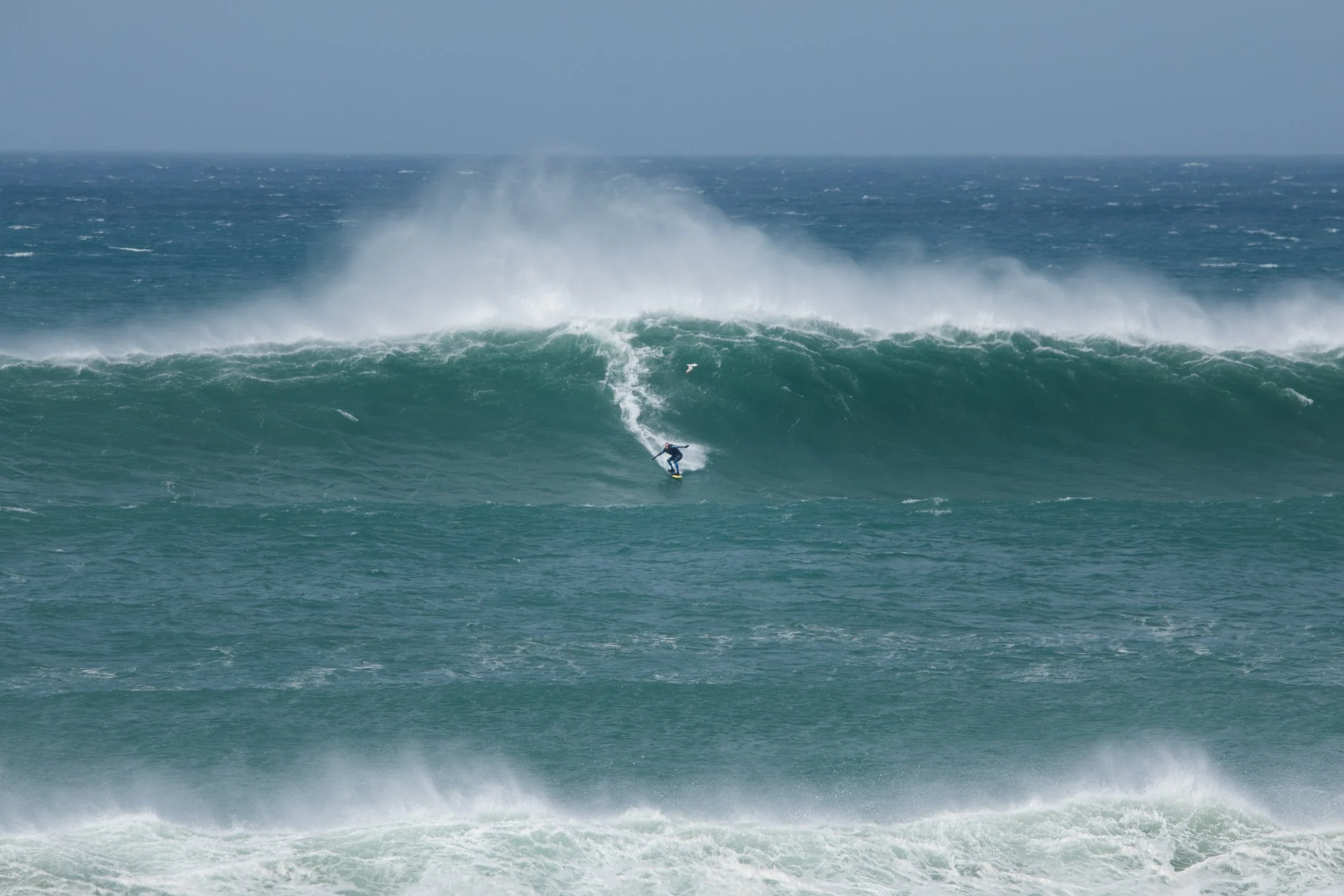 26040607_Cribbar_SouthFistral-5.jpg