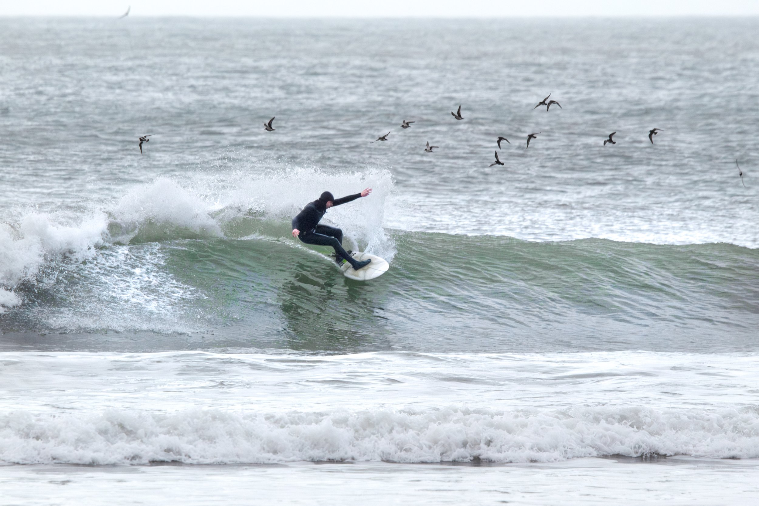 Fistral Beach, January 2026