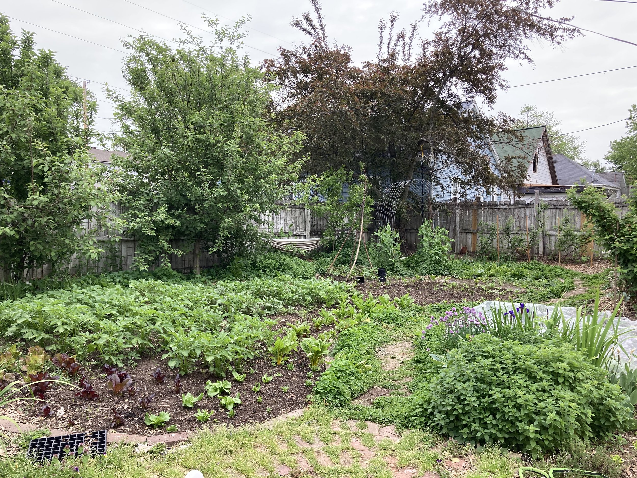 Giant garden in progress