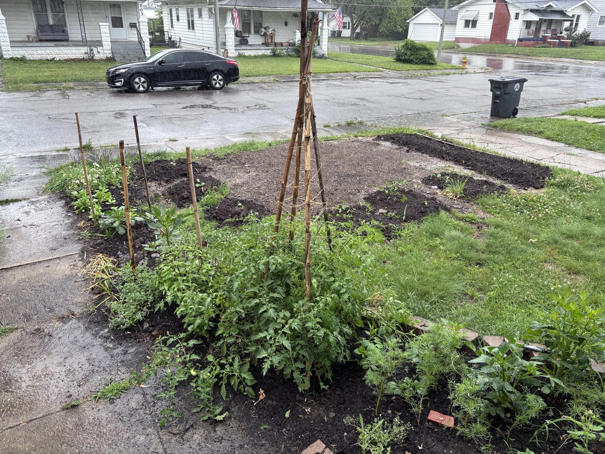 Adding new garden beds to the front yard where we had a large tree removed.