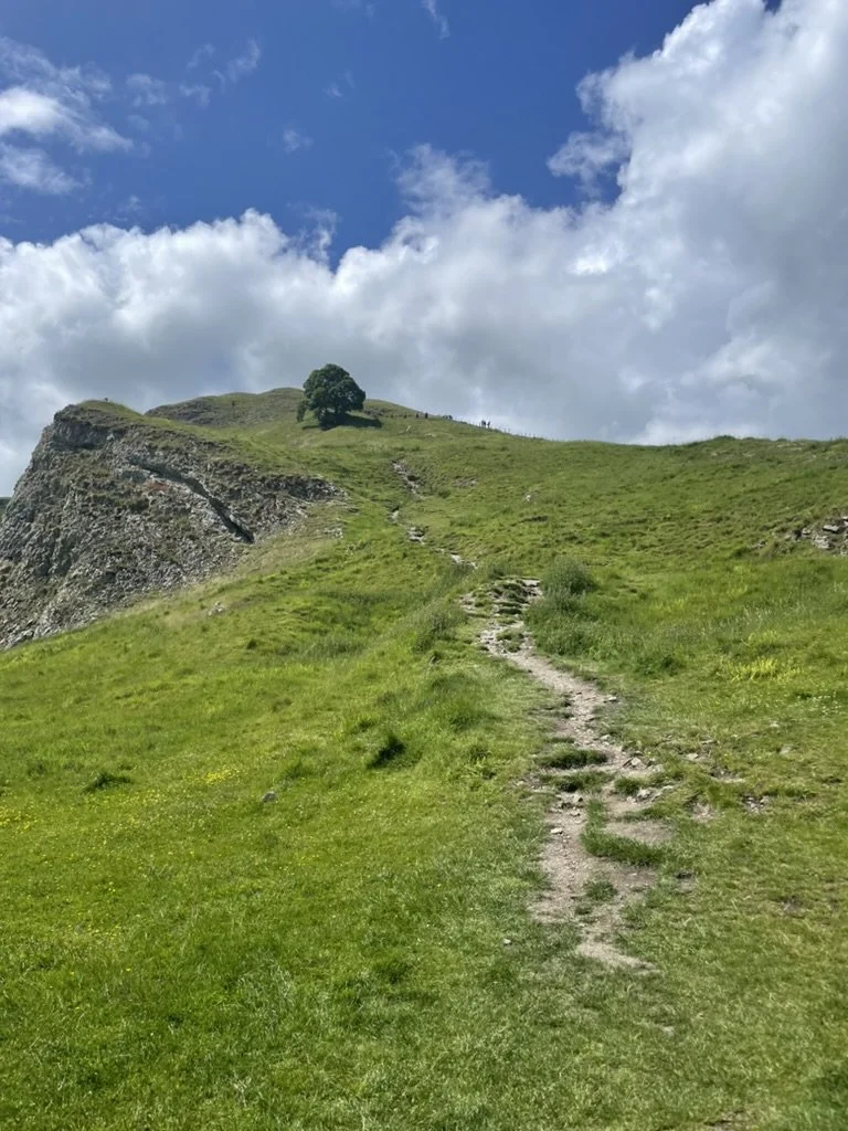 A dirt trail on a grassy hill leading towards a tree on top of the hill against a partly cloudy sky.