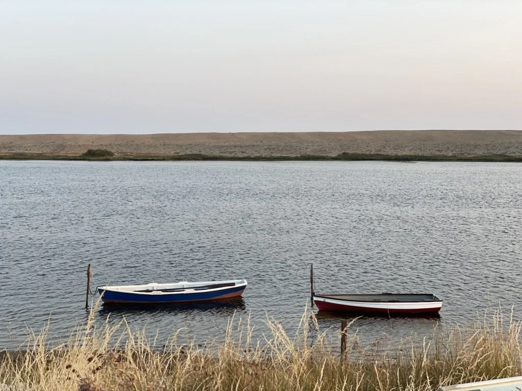 Two small boats floating on a calm body of water near a grassy shoreline, with a distant land mass on the horizon and a clear sky.
