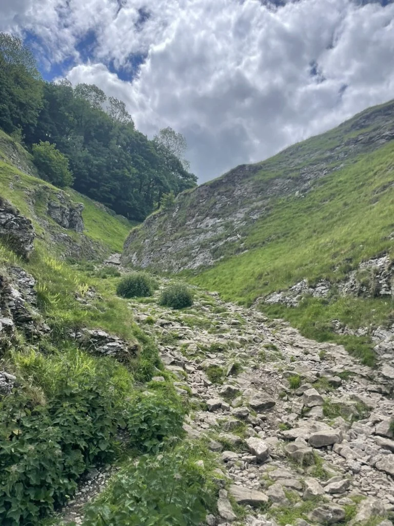 A rocky trail running through a green valley with steep hillsides and scattered bushes, under a partly cloudy sky.