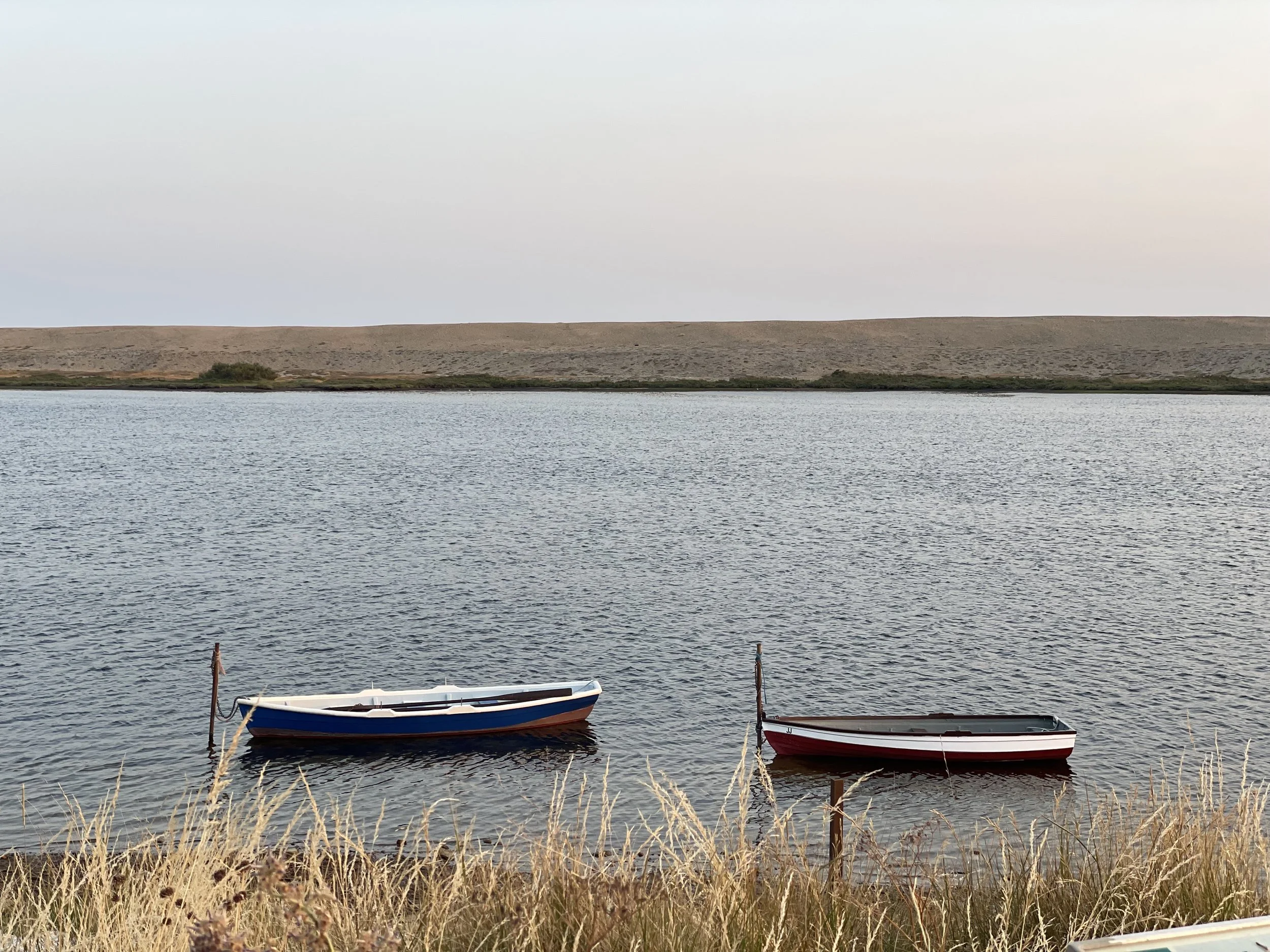 Two small boats, one blue and white, and one red and white, float on calm water with some dry grass in the foreground. A distant shoreline with sparse vegetation and a gently sloping hill underneath a pale sky are visible in the background.