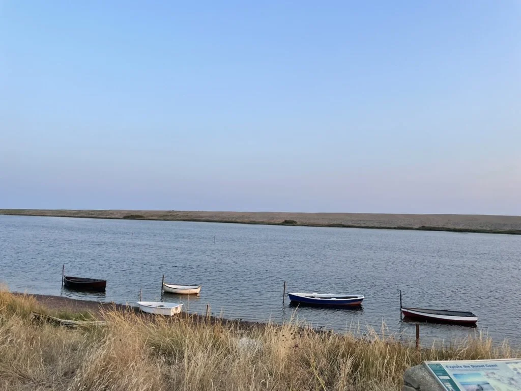 Four small boats floating on a calm body of water near a grassy shore, with a clear blue sky above.
