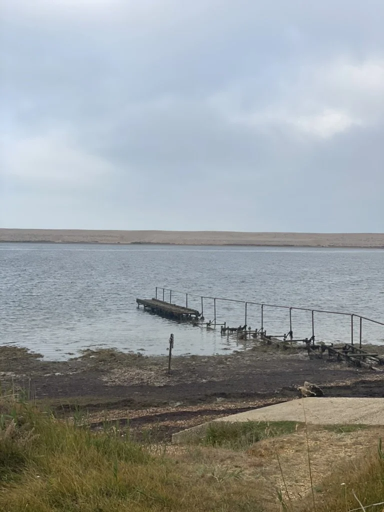 A small, weathered dock extending into a calm body of water, with a metal railing and some machinery or equipment on it. The shoreline has patches of grass and dirt, and the sky is overcast.