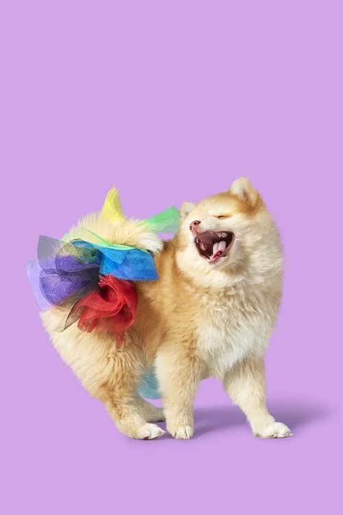 image.jpeg