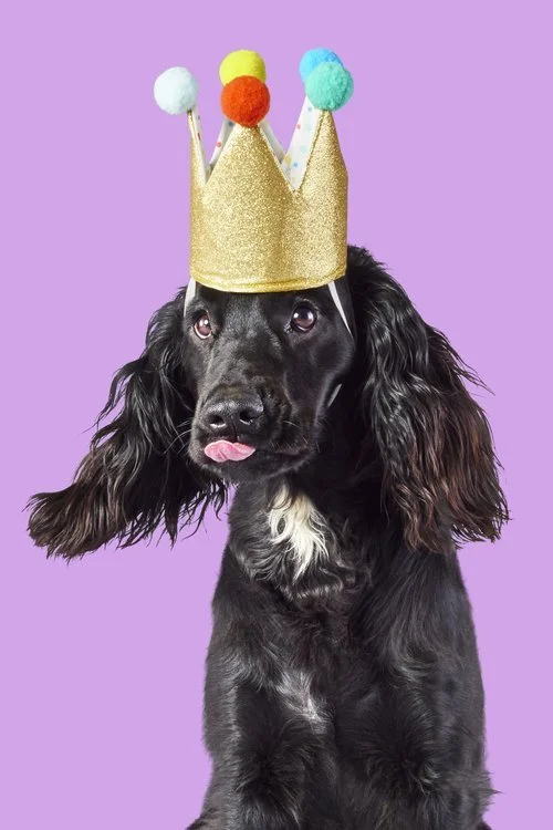 image.jpeg