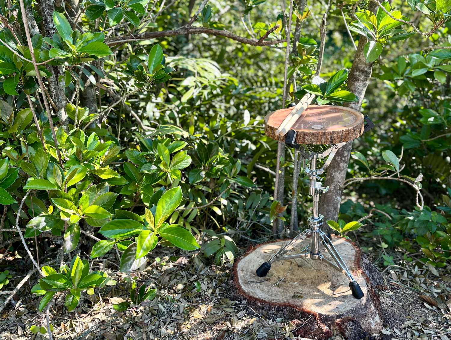 ABOUT — Live Edge Drum Co.