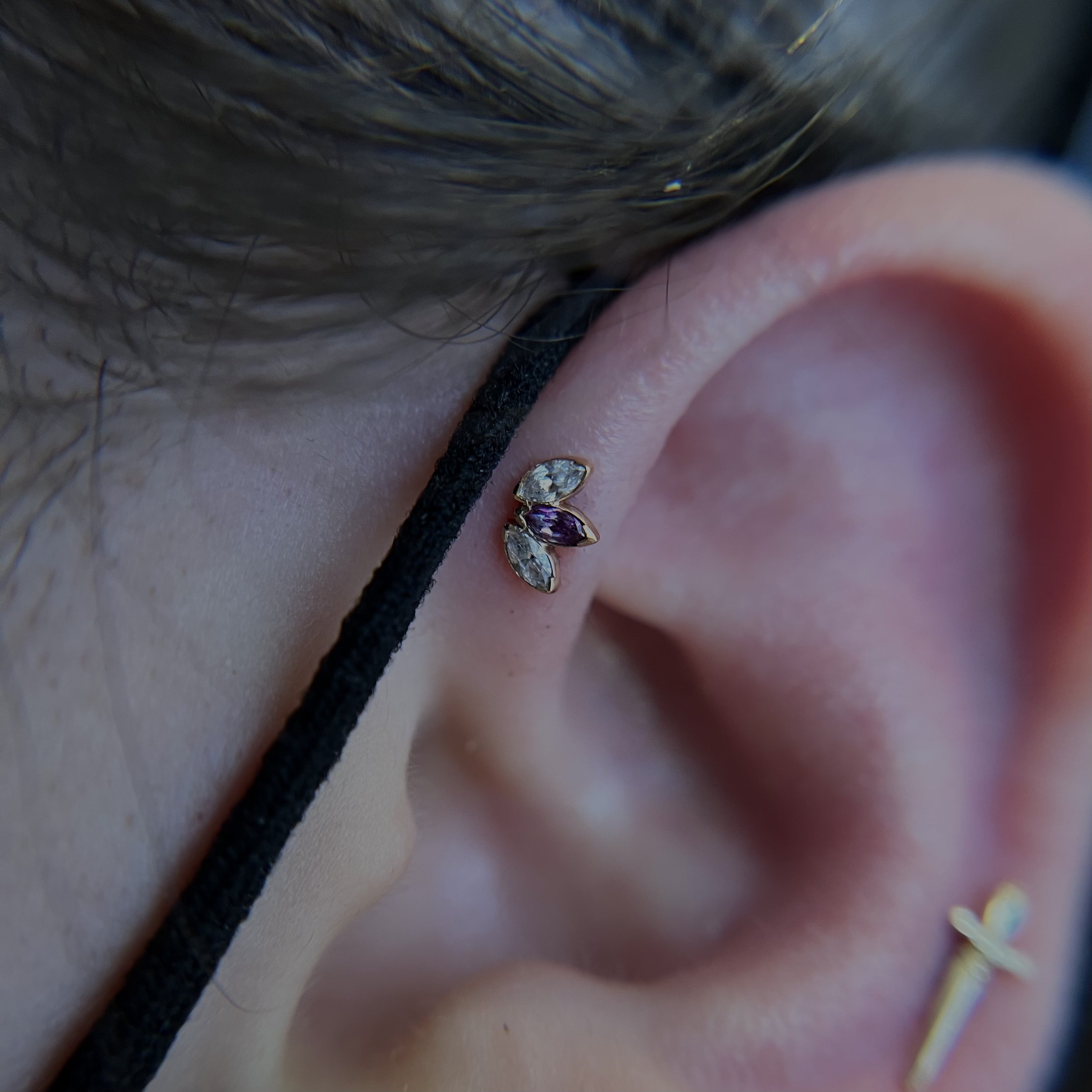 Forward Helix_5.jpeg