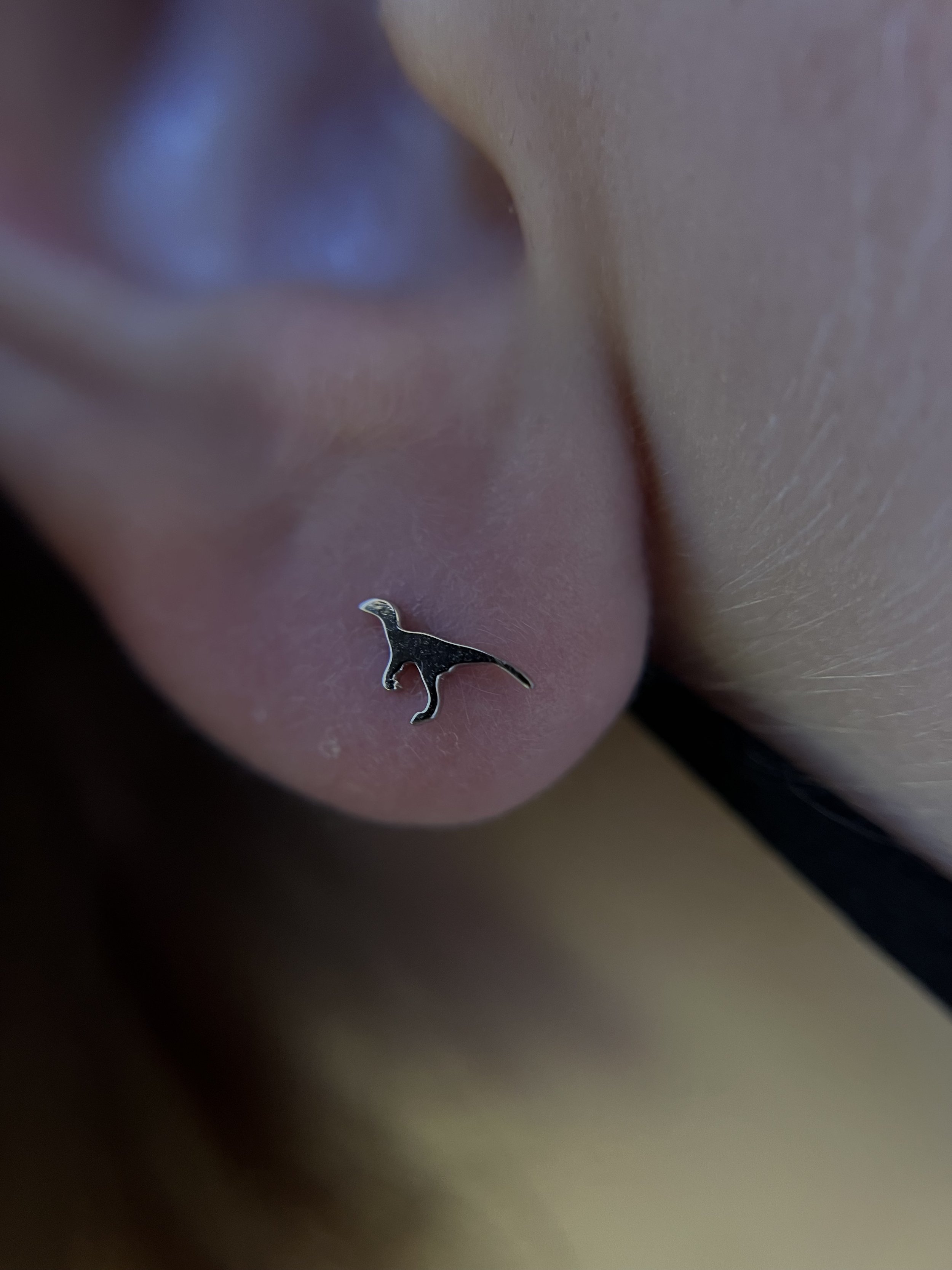 Ear Lobes_12.jpeg