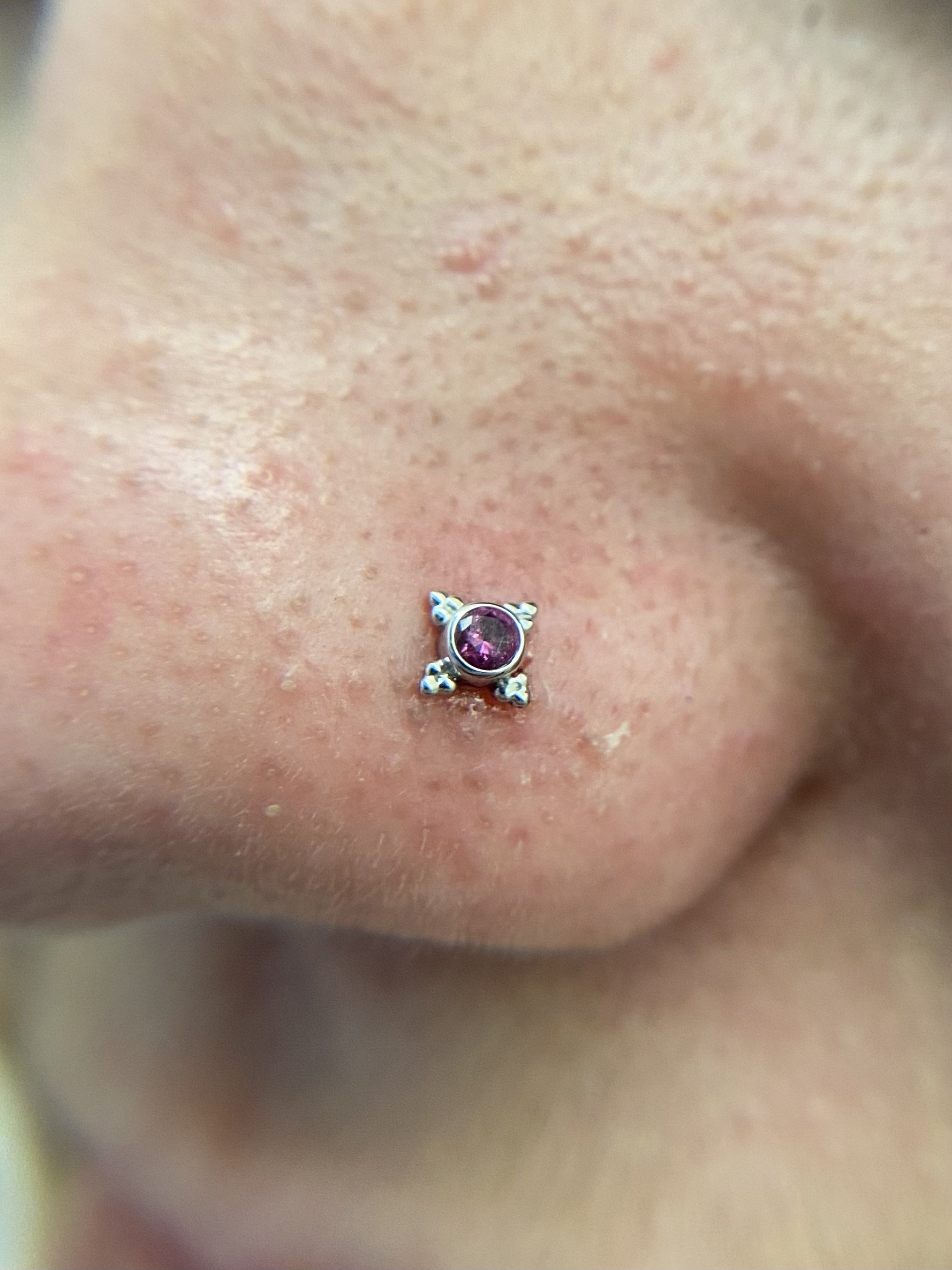 Nostril_24.jpeg