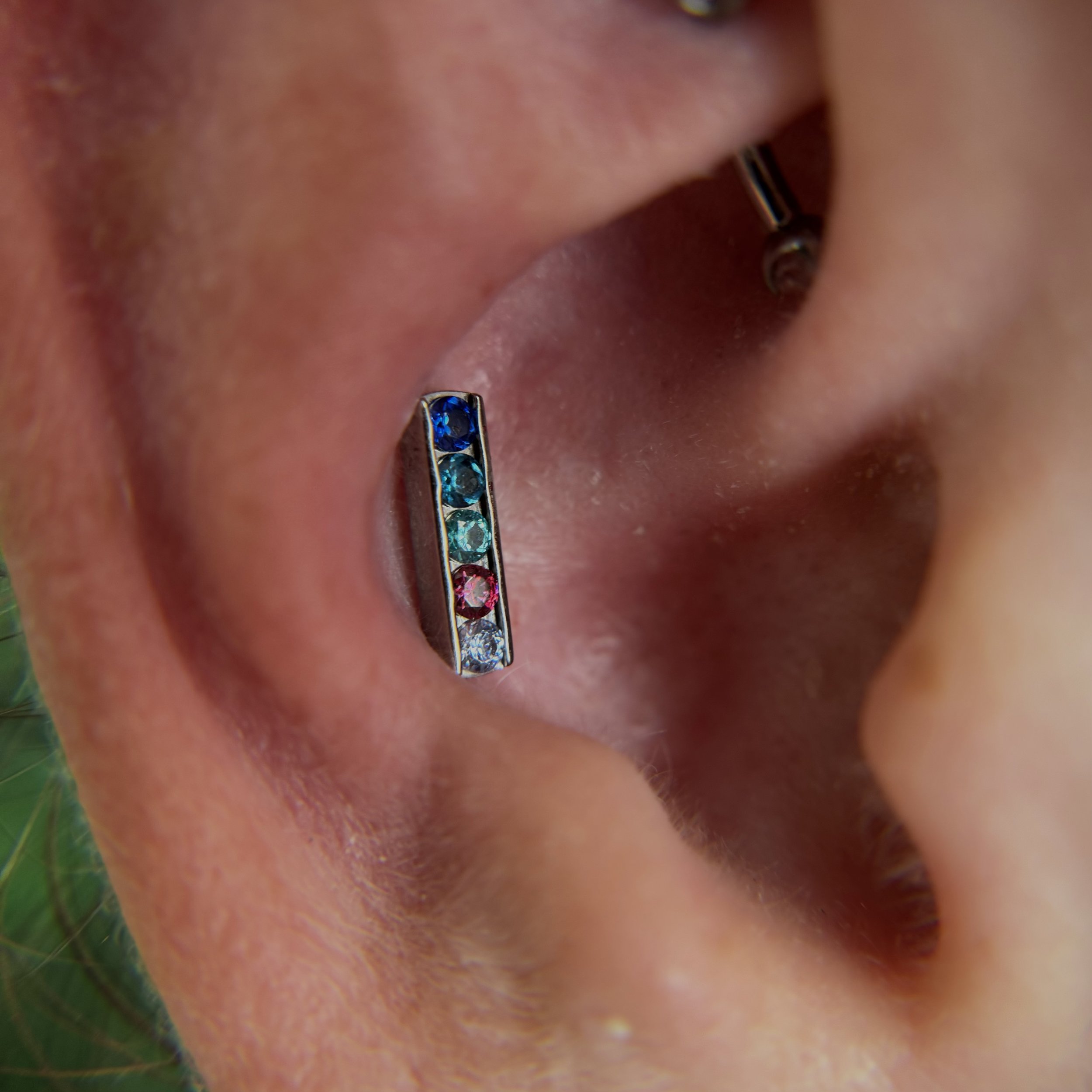 Conch_6.jpeg