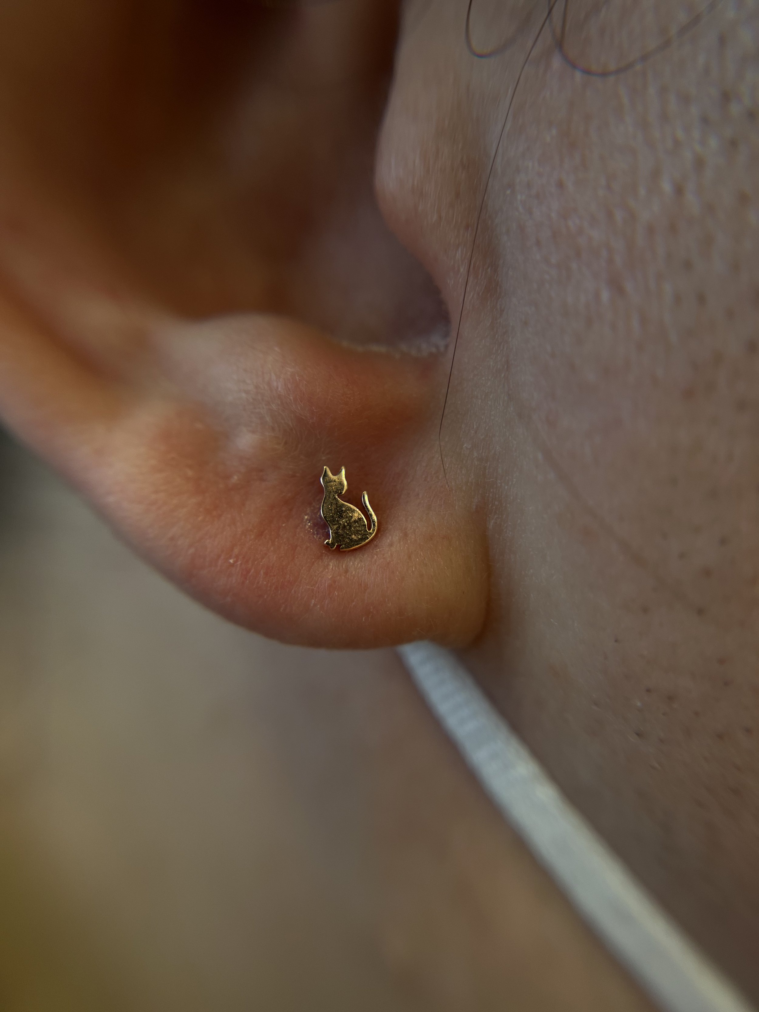 Ear Lobes_15.jpeg