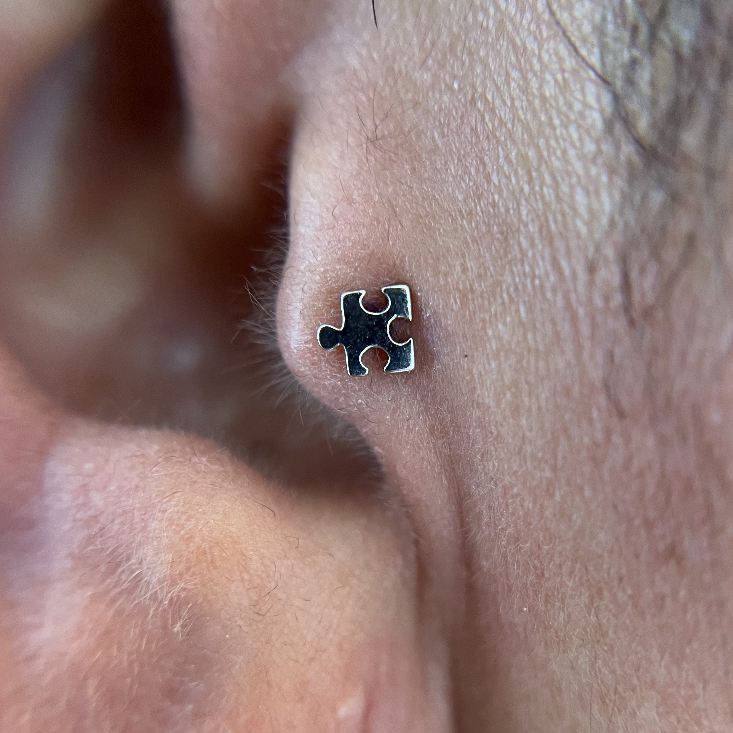 Tragus_2.jpeg