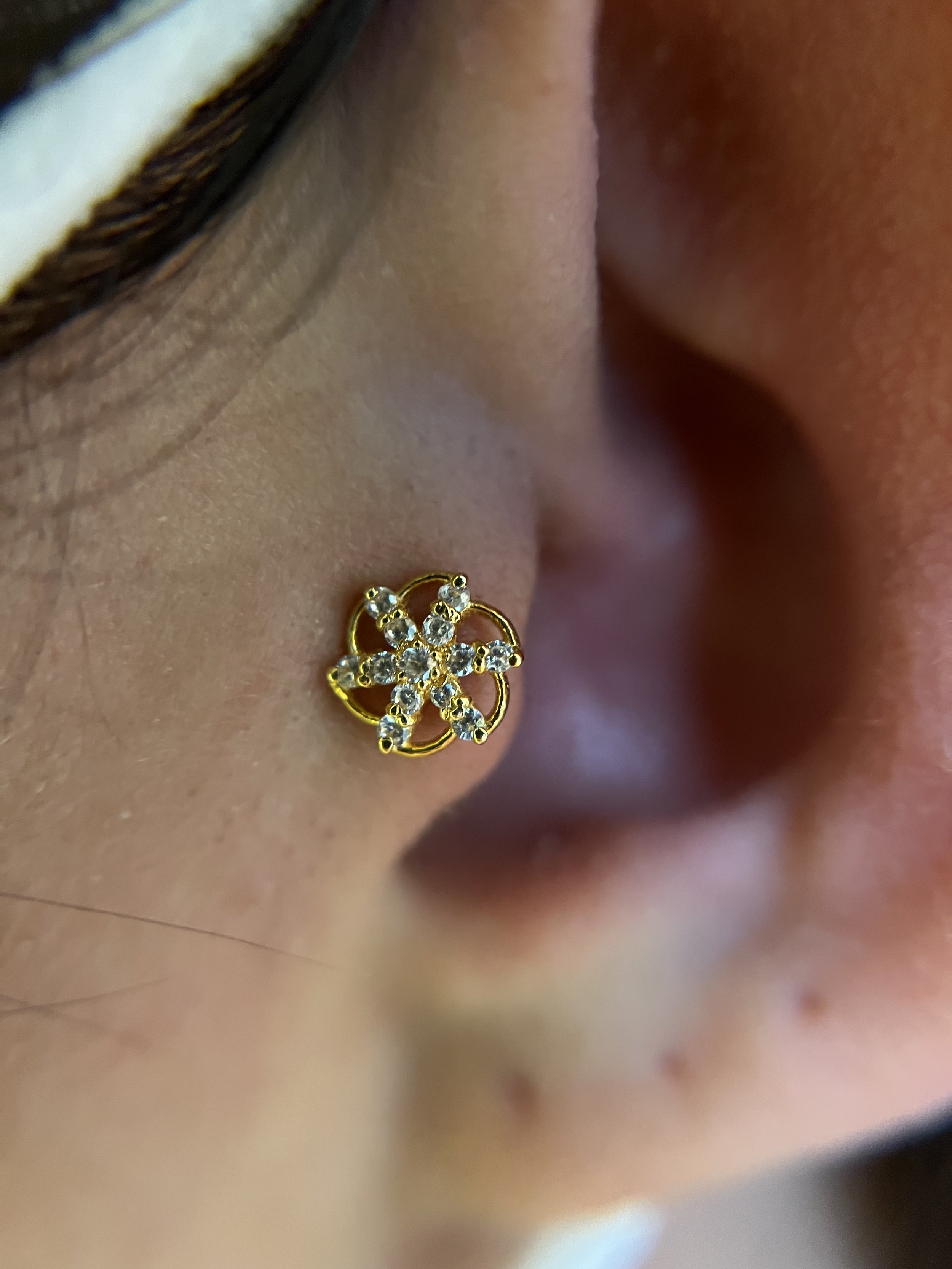 Tragus_8.jpeg