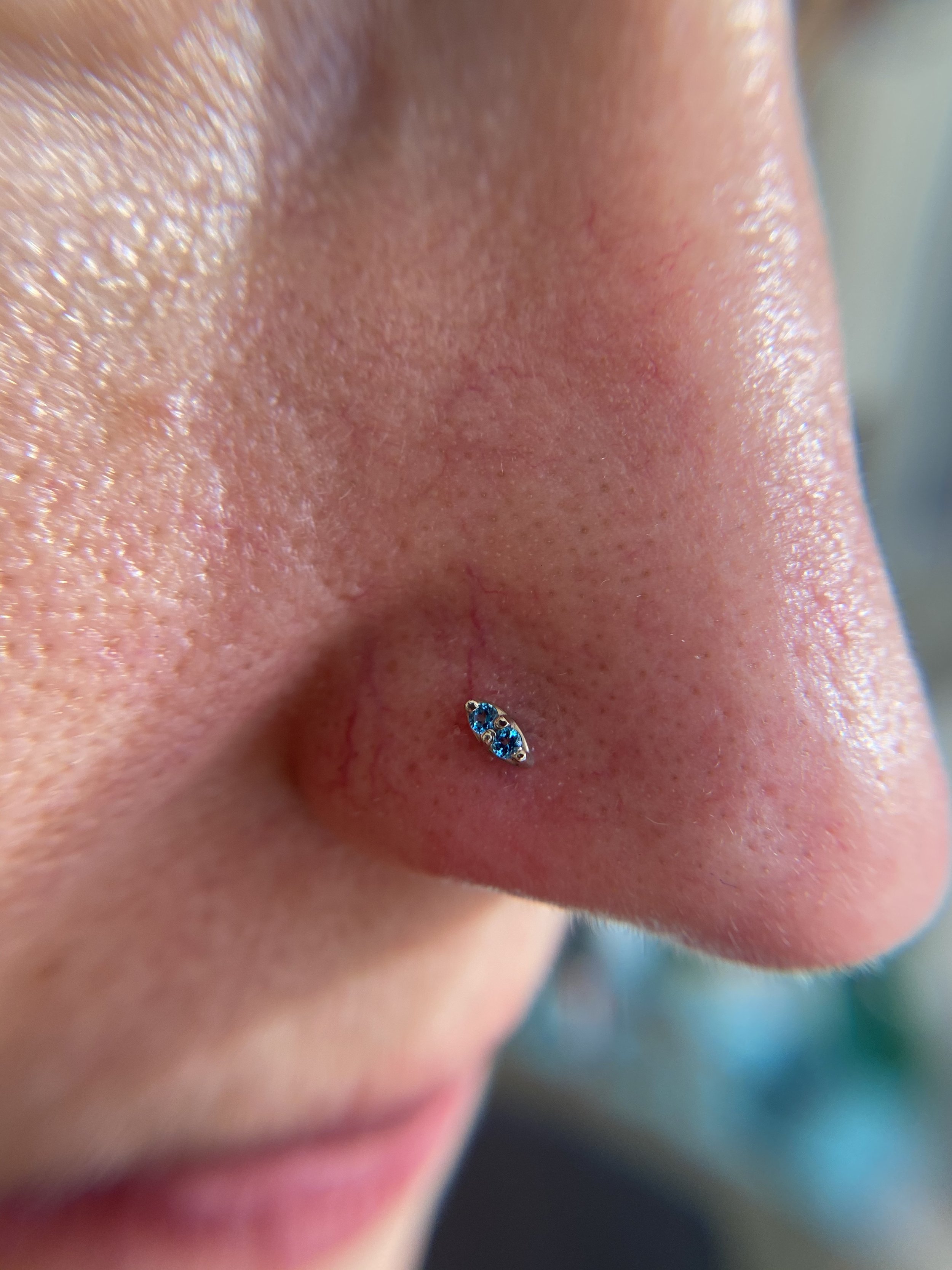 Nostril_29.jpeg