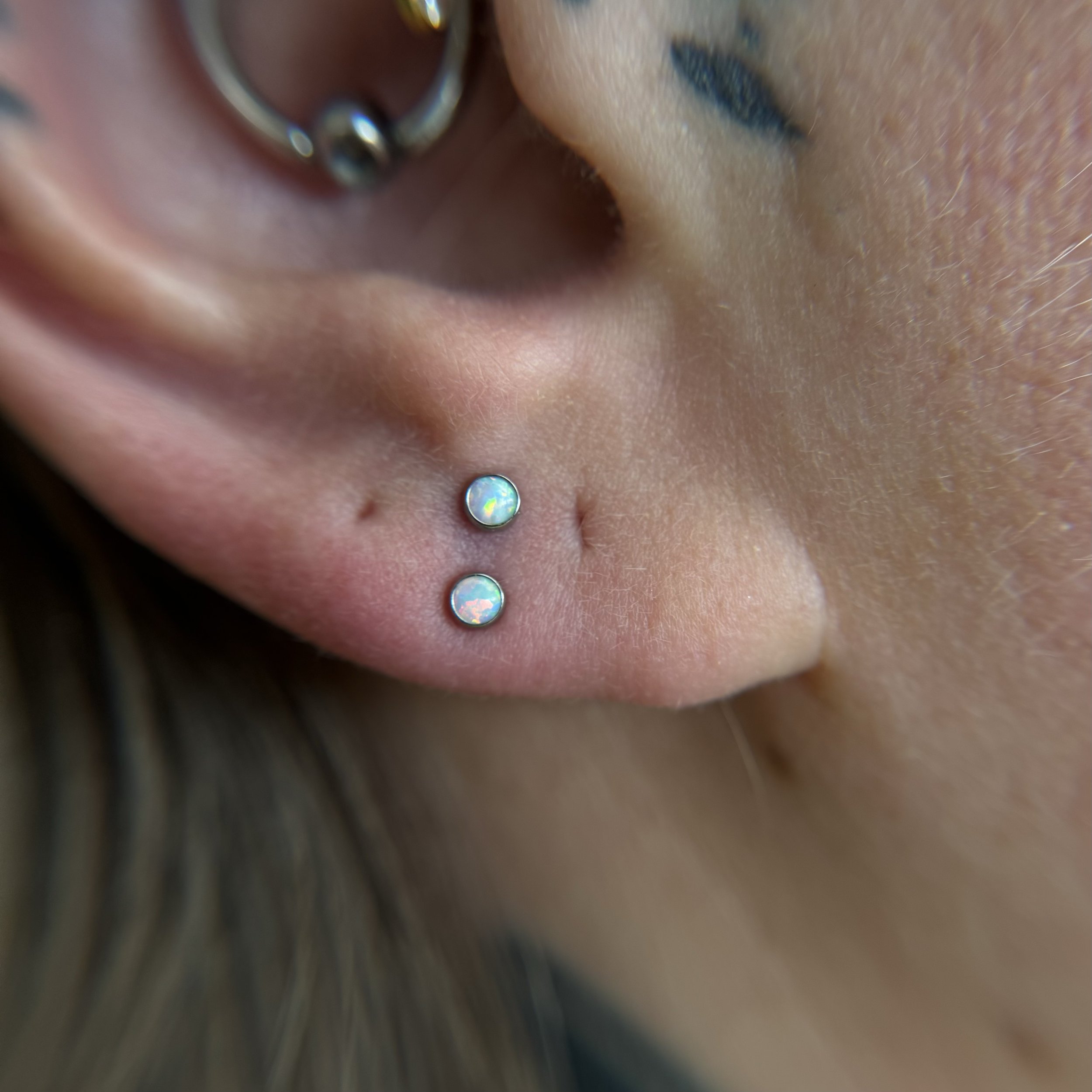 Ear Lobes_11.jpeg