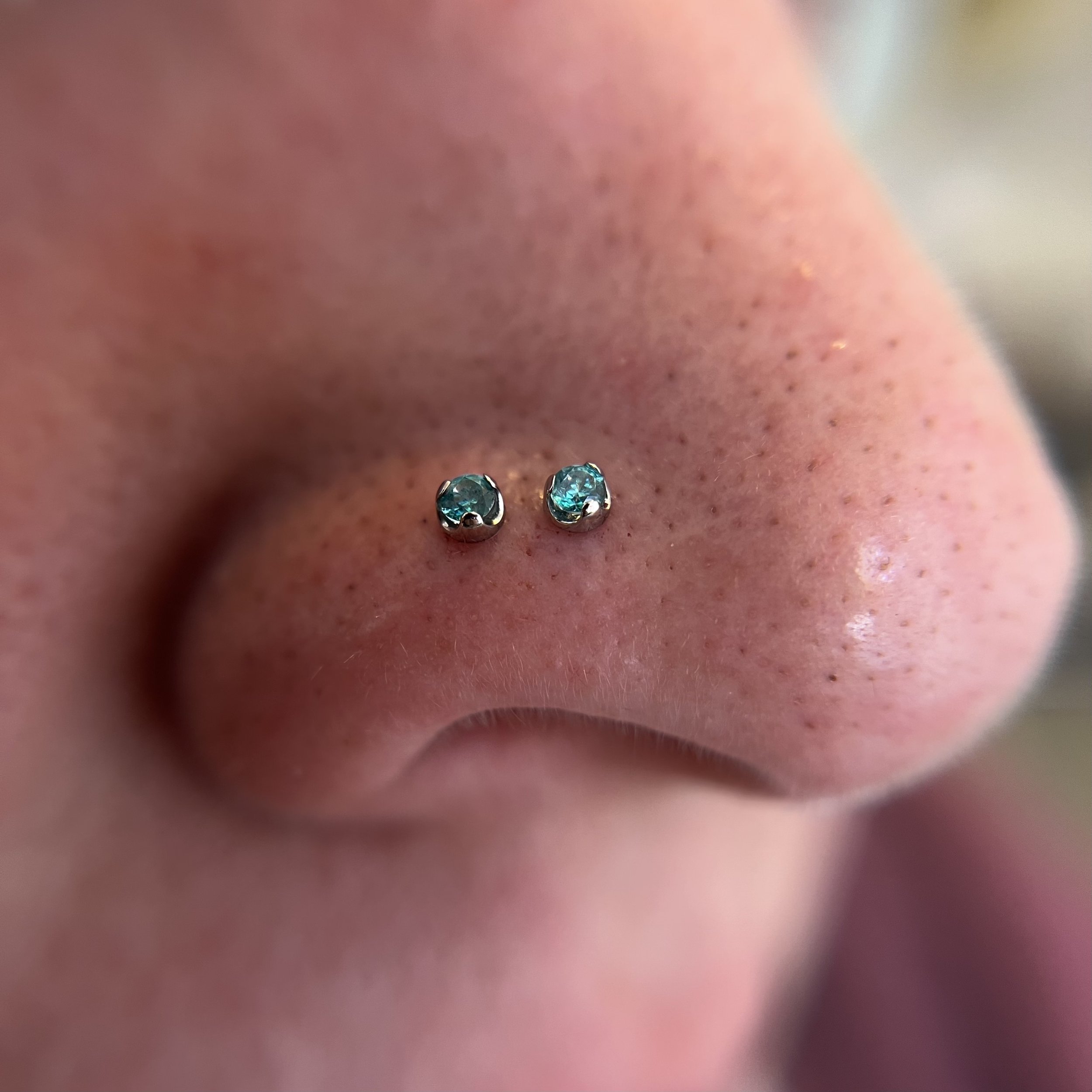 Nostril_17.jpeg