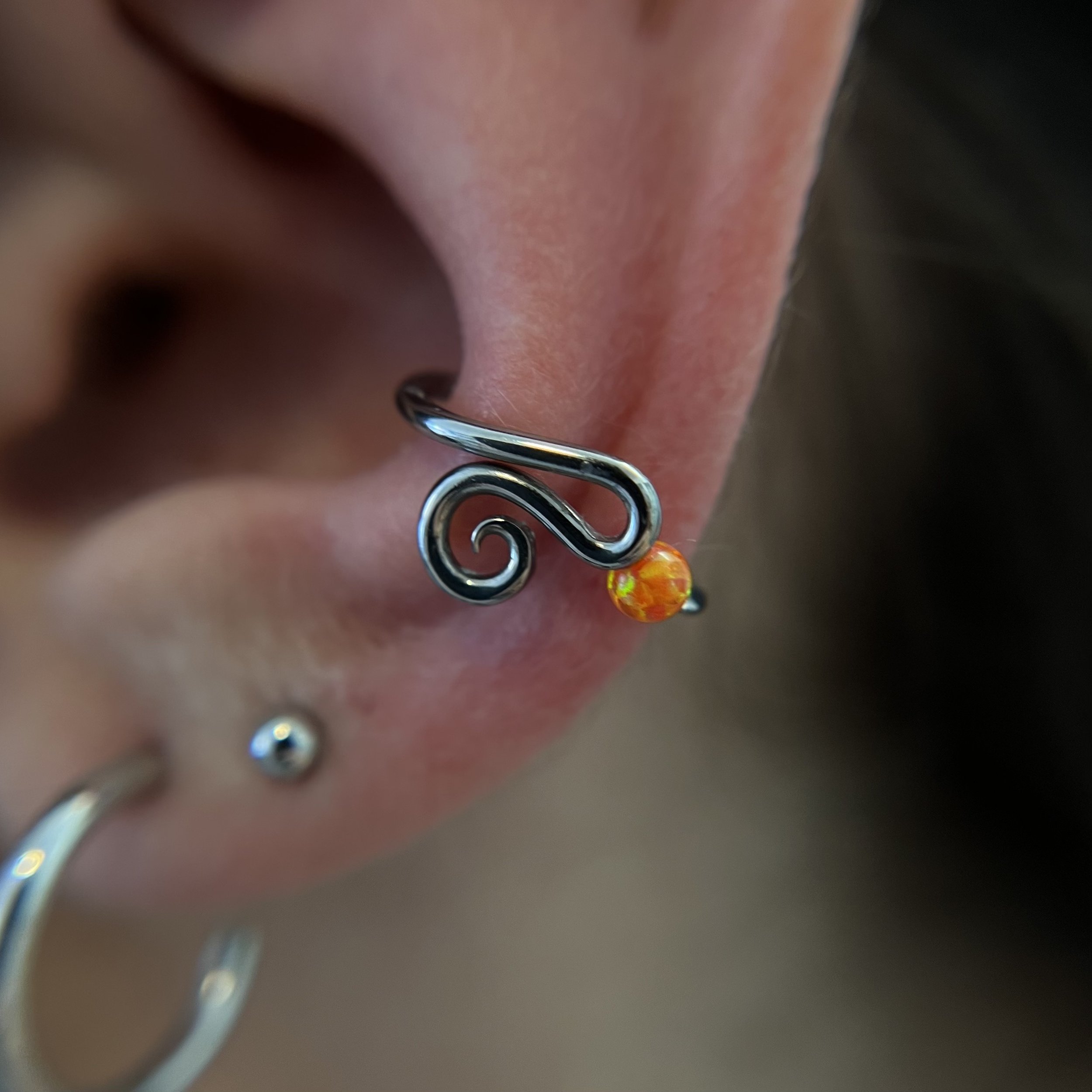 Conch_14.jpeg