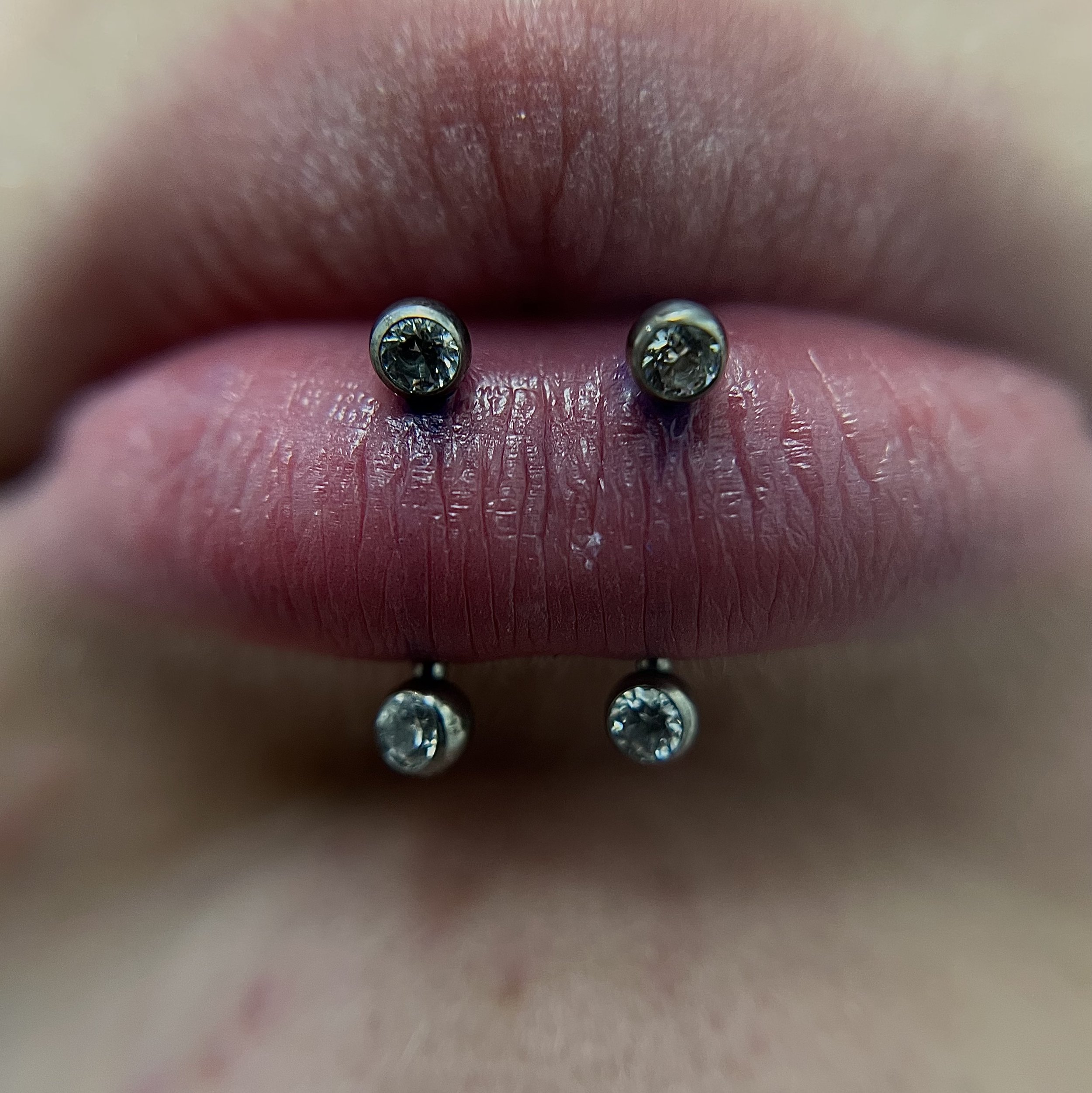Vertical Labret_5.jpeg