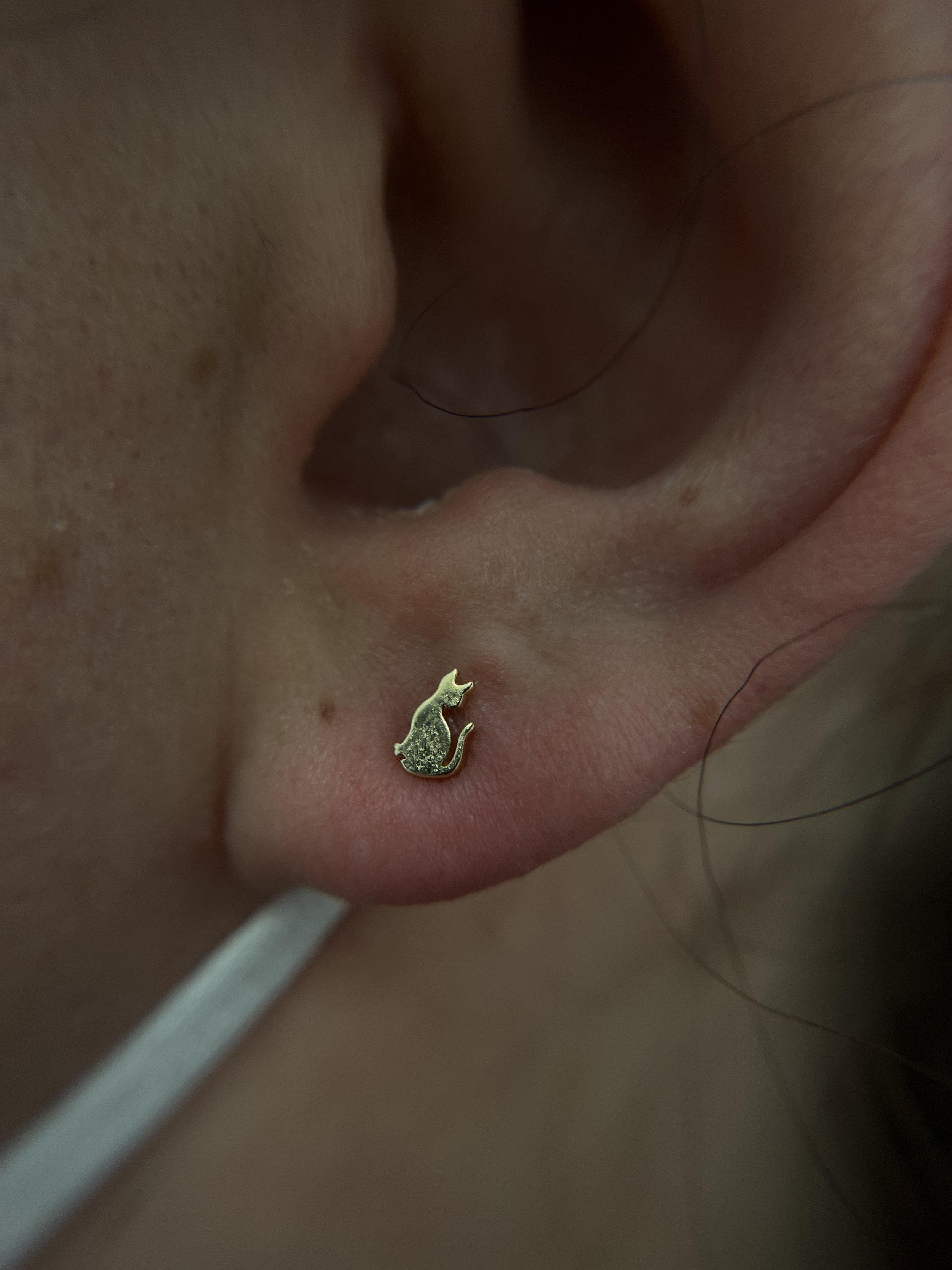 Ear Lobes_16.jpeg