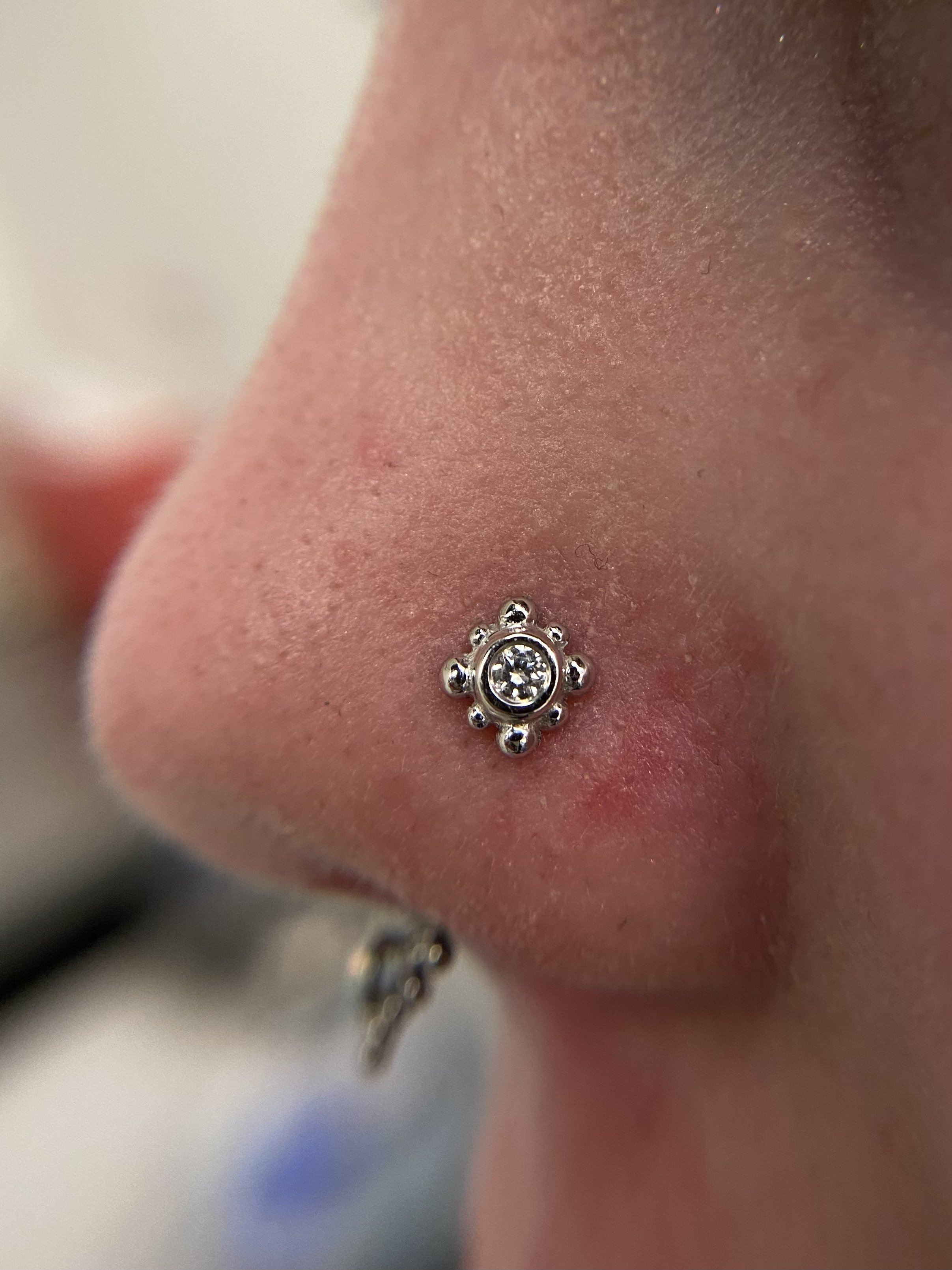 Nostril_21.jpeg