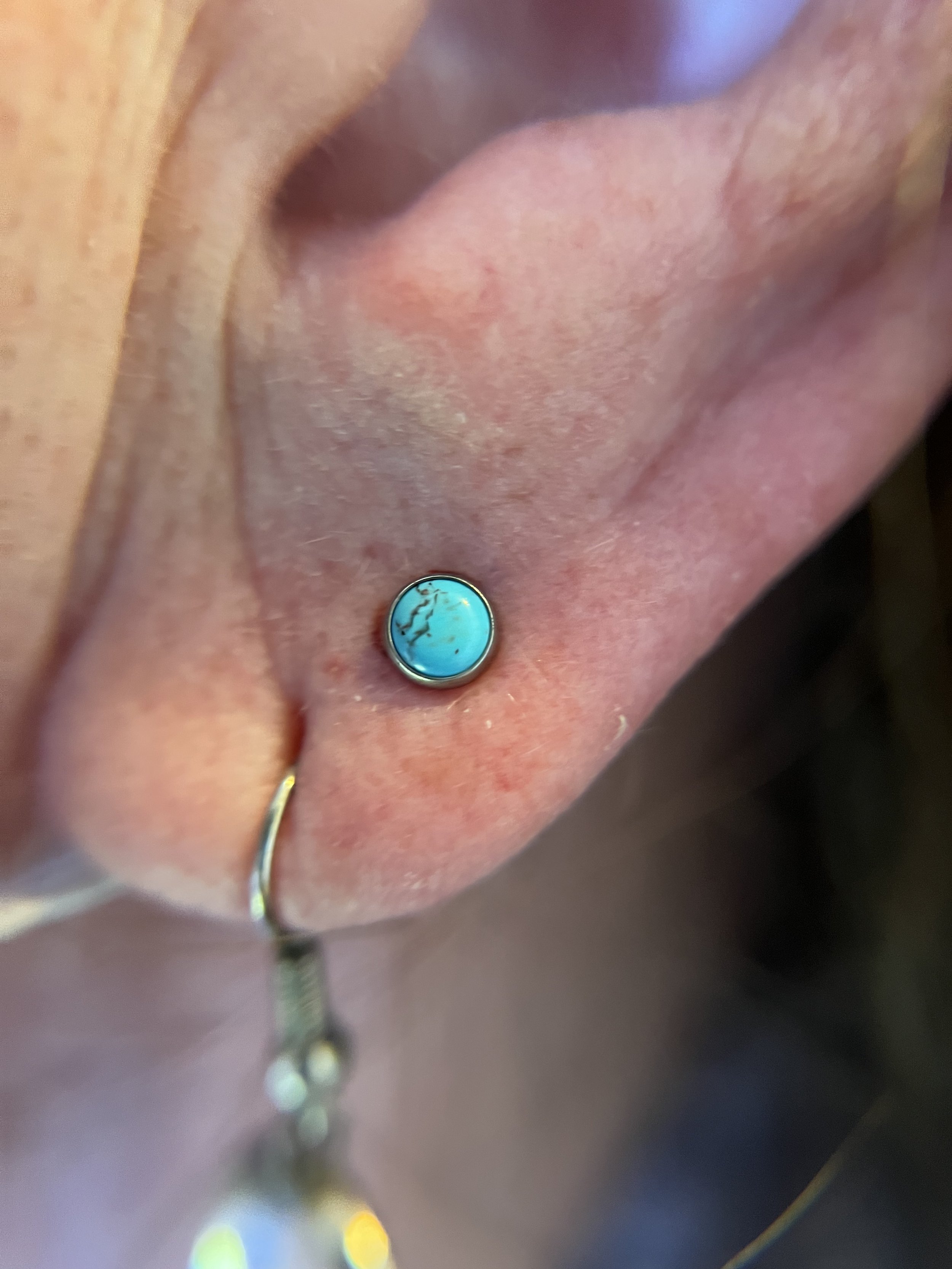 Ear Lobes_14.jpeg
