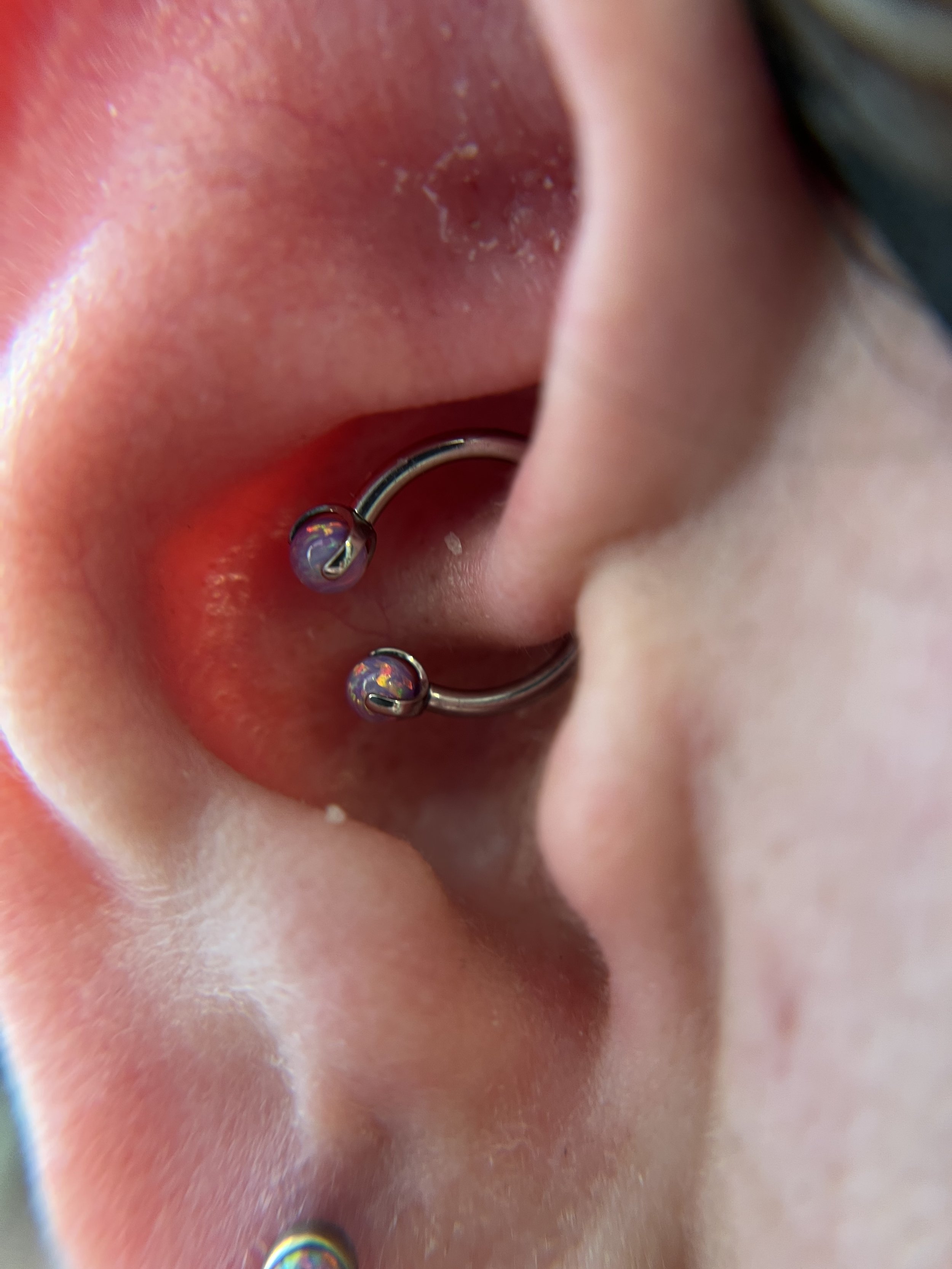 Daith_14.jpeg