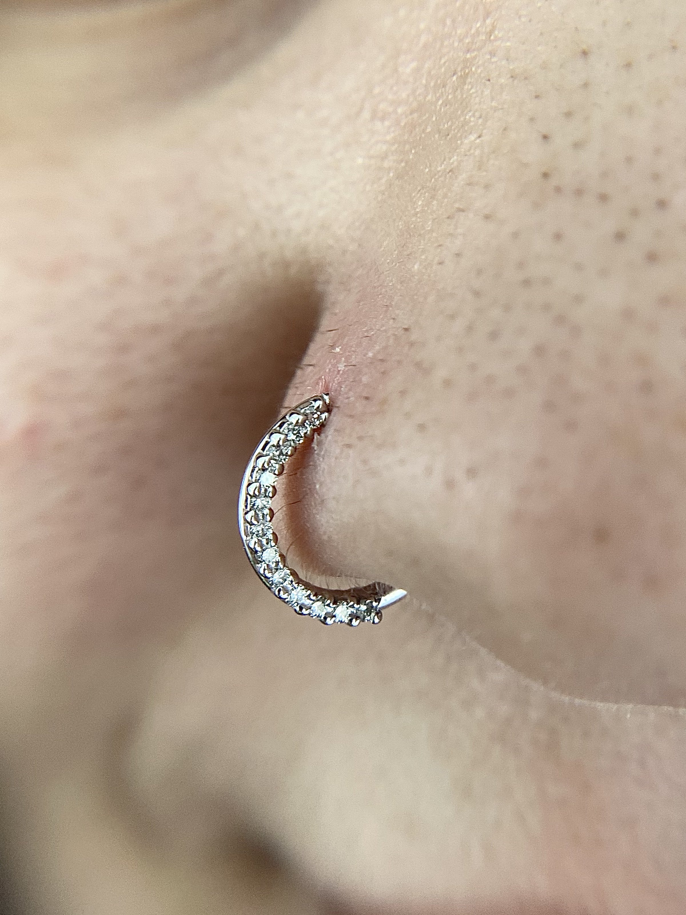 Nostril_20.jpeg