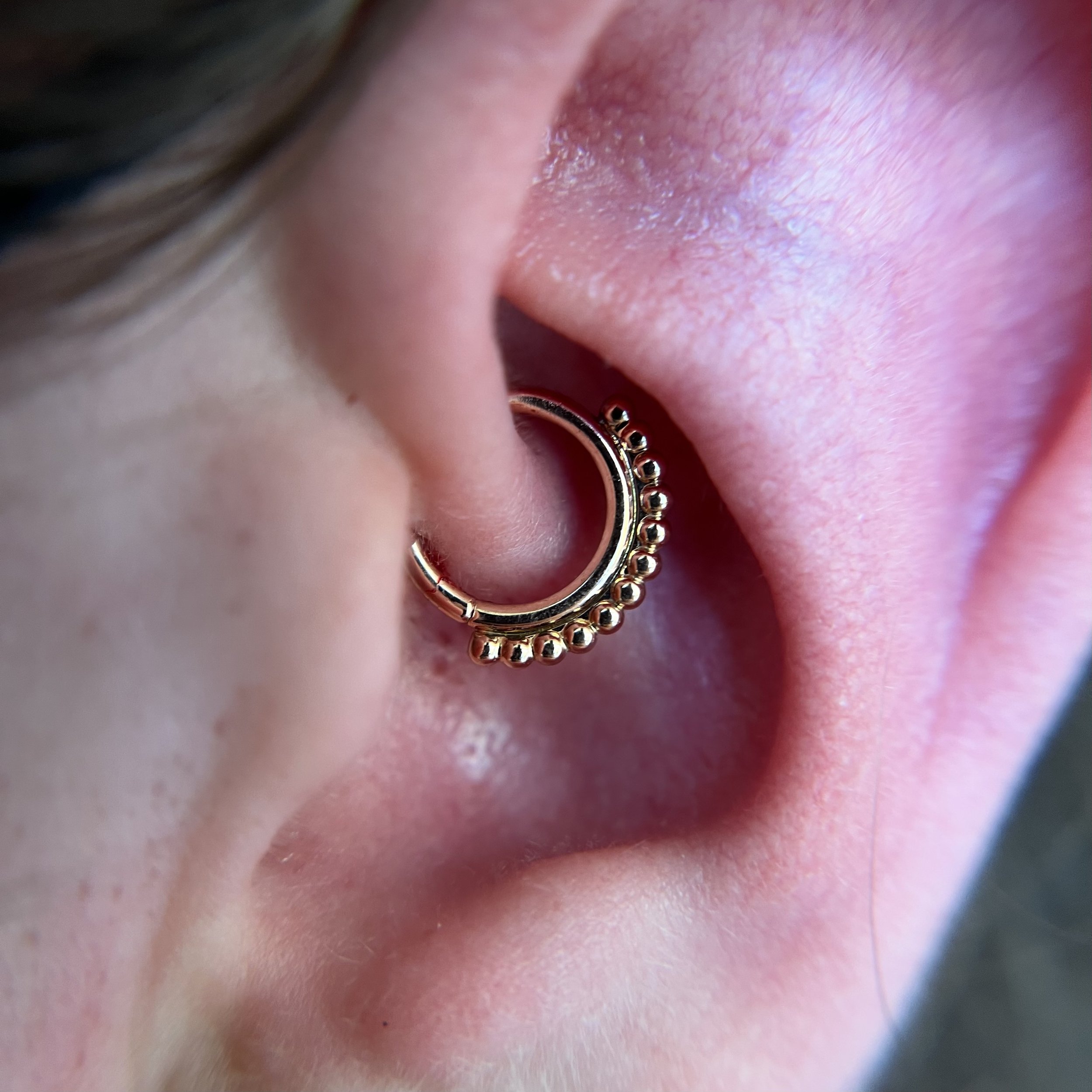 Daith_11.jpeg