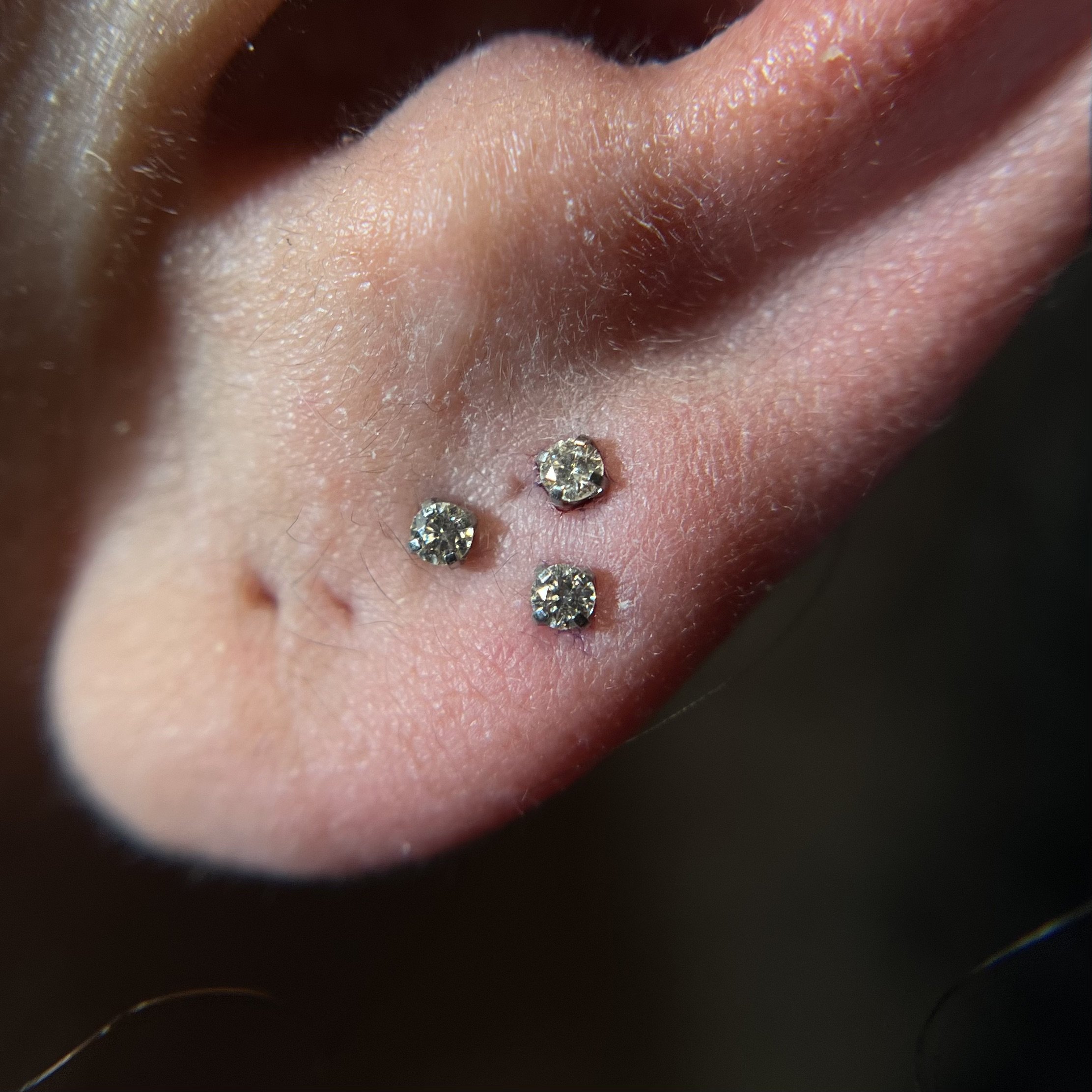Ear Lobes_31.jpeg