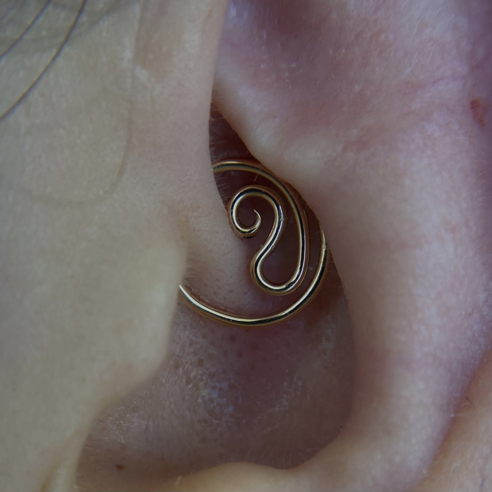 Daith_21.jpeg
