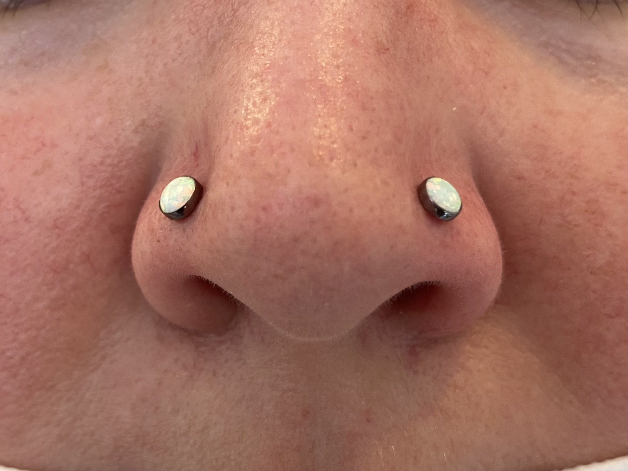 Nostril_41.jpeg
