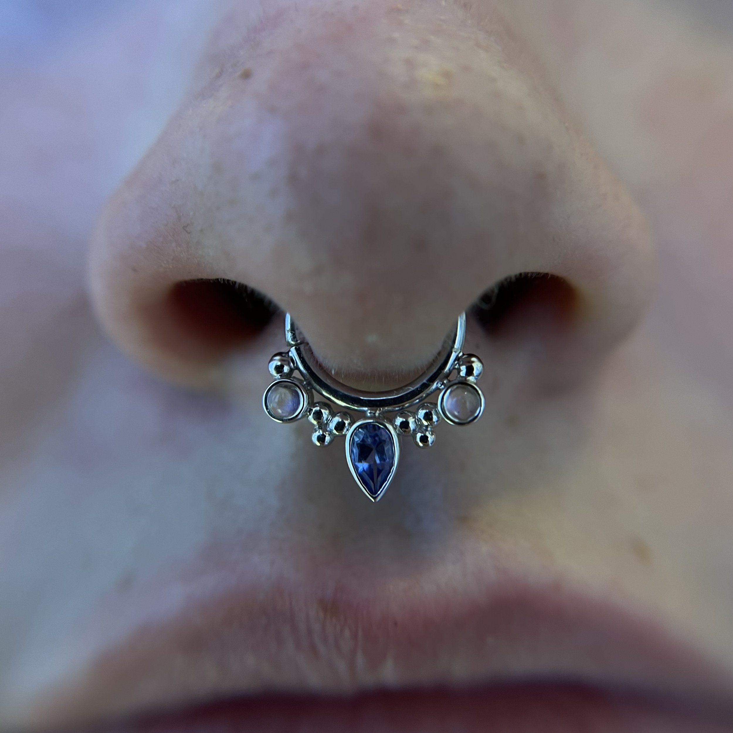 Septum_2.jpeg
