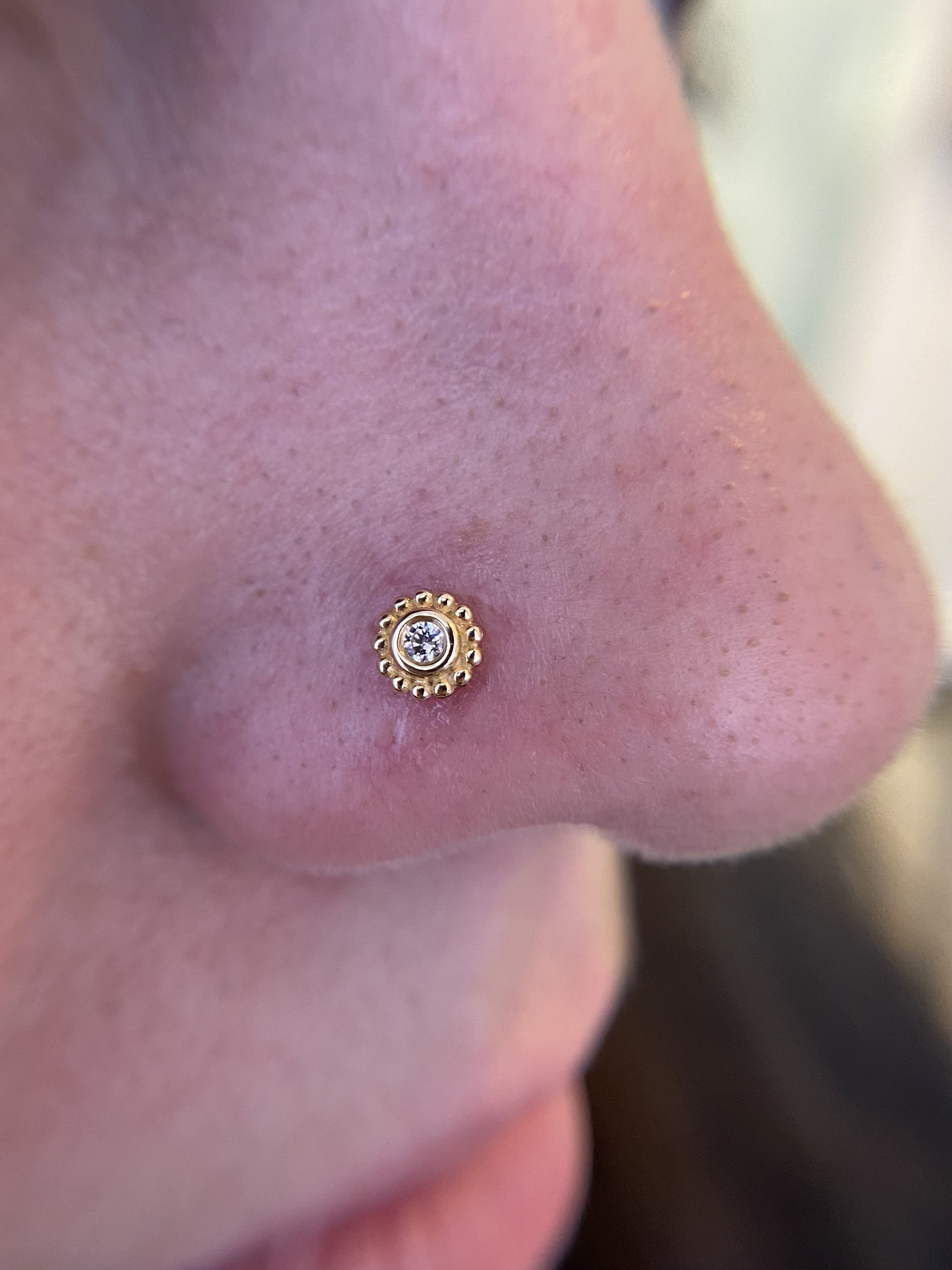 Nostril_22.jpeg