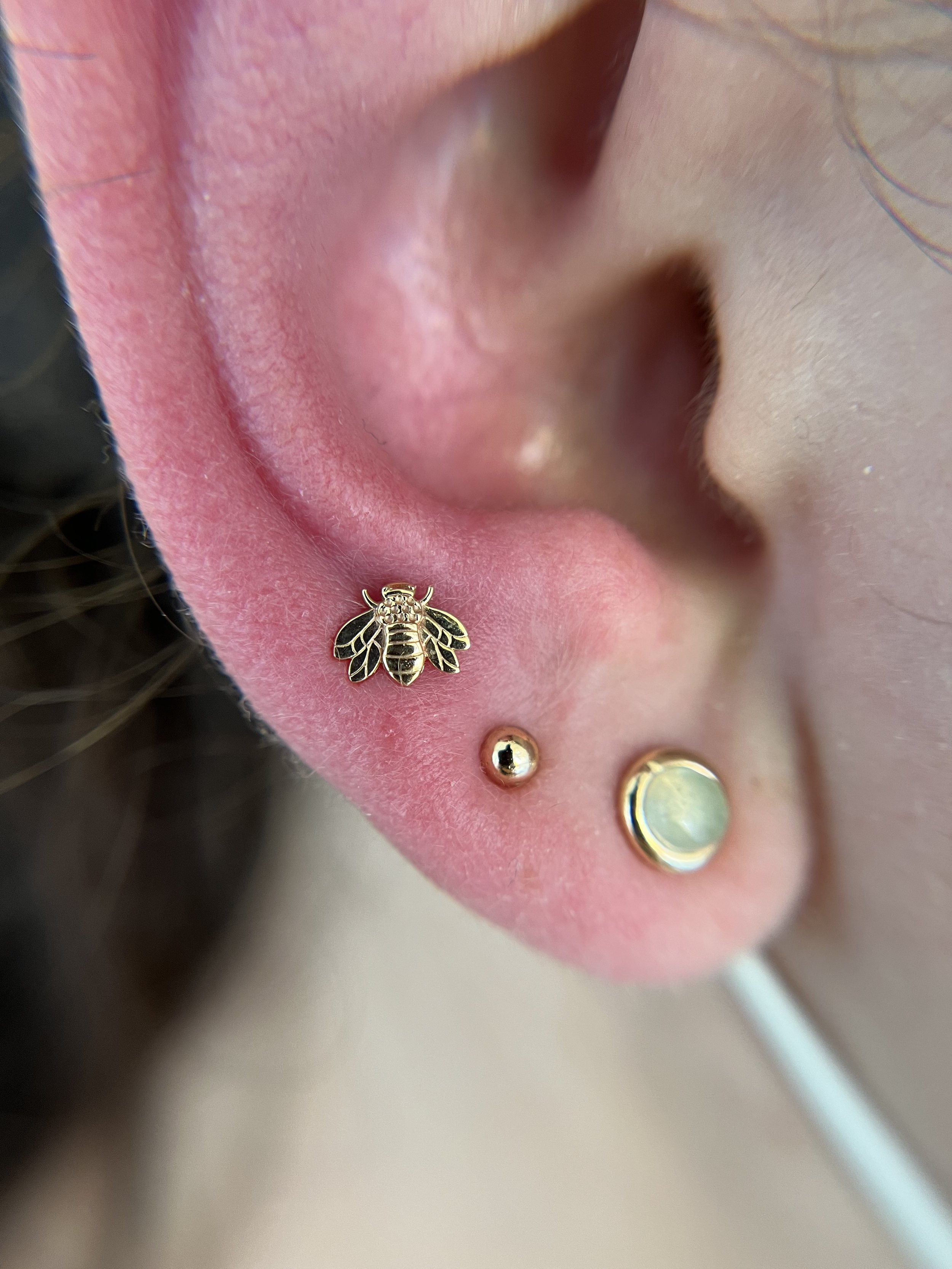 Ear Lobes_5.jpeg