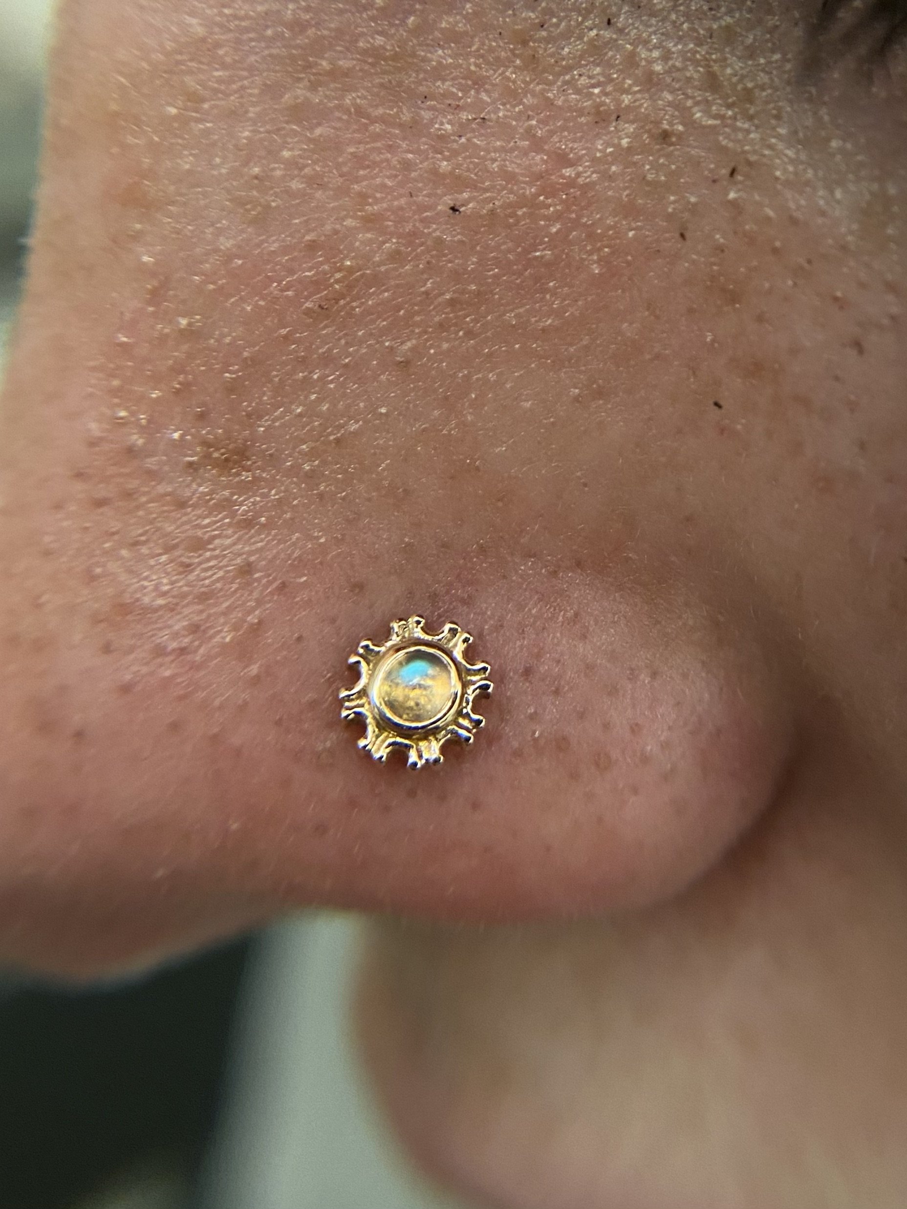 Nostril_27.jpeg