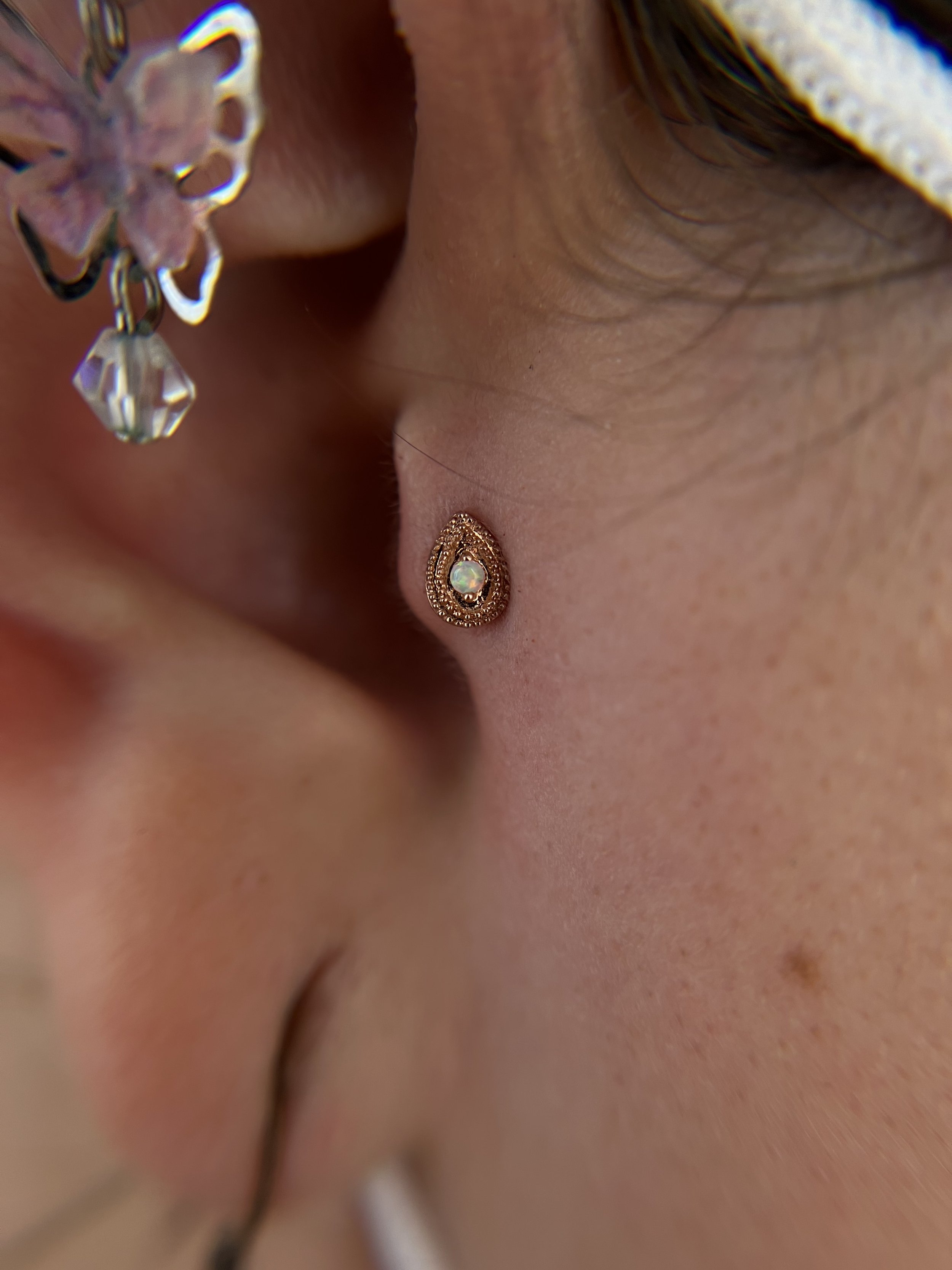 Tragus_9.jpeg