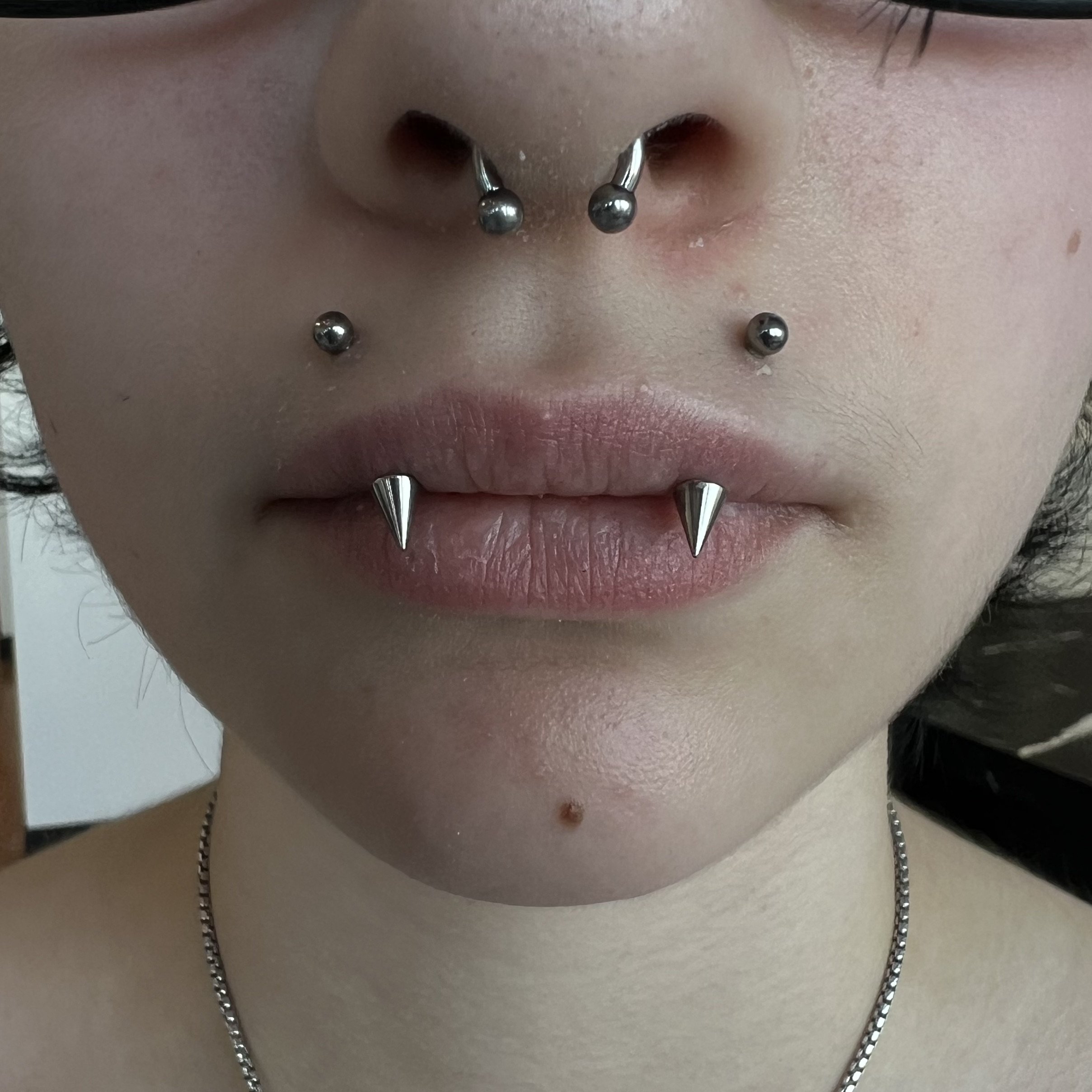Upper Vertical Labret-Angel Fangs_3.jpeg