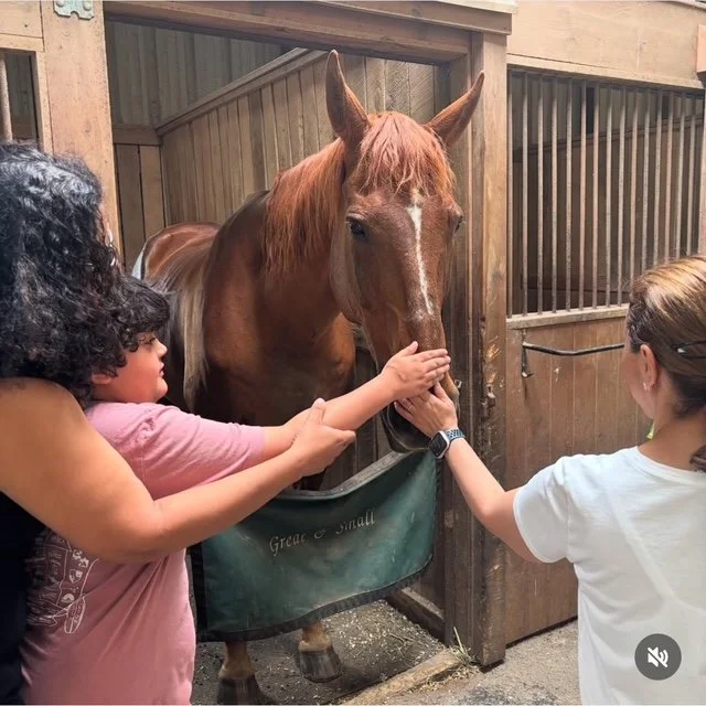 Great & Small Therapy
