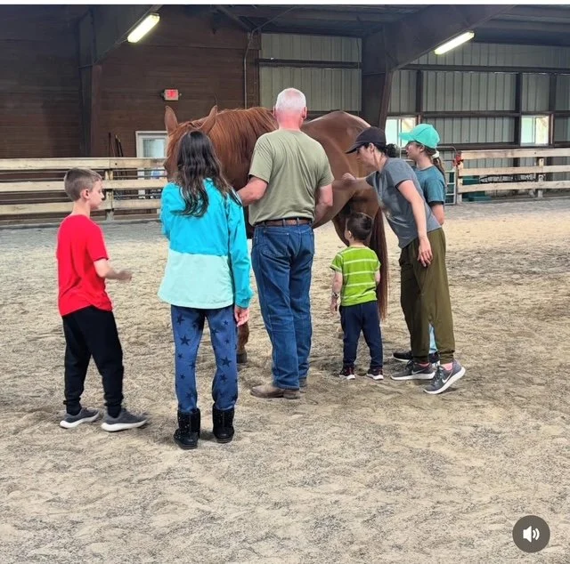 Great & Small Therapy