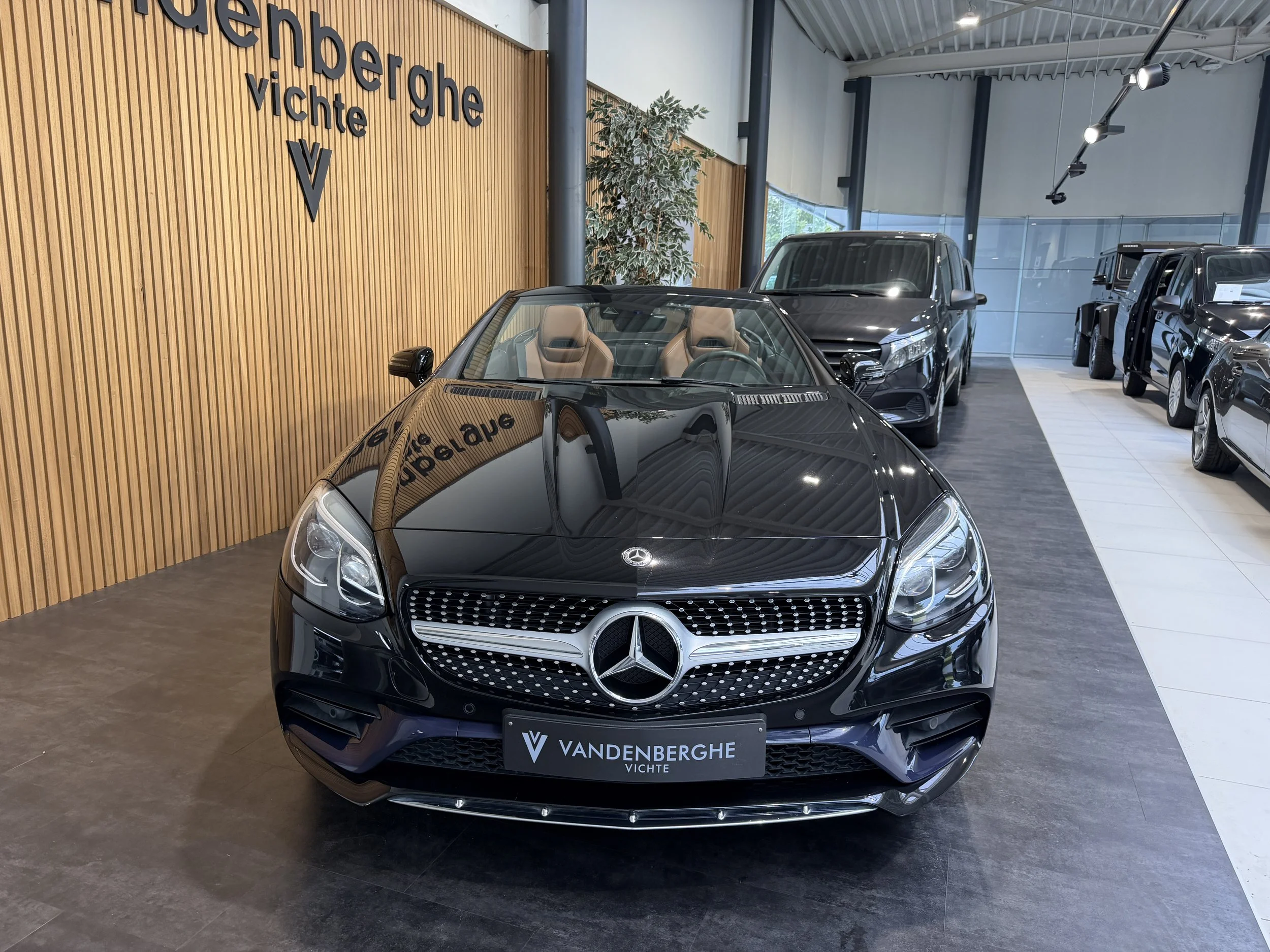 20260817_150027103_iOS.jpg