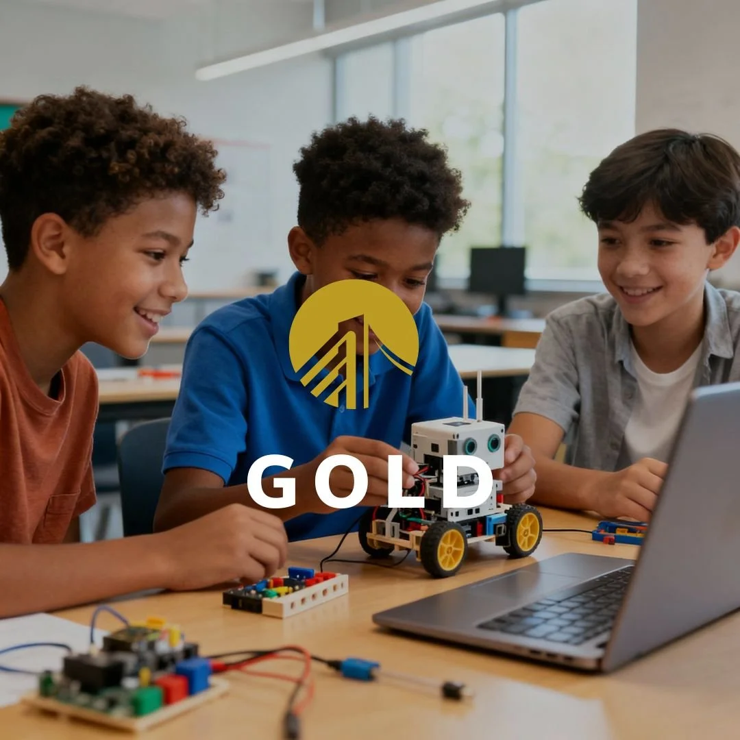 Bridge to Tech Gold donor level.