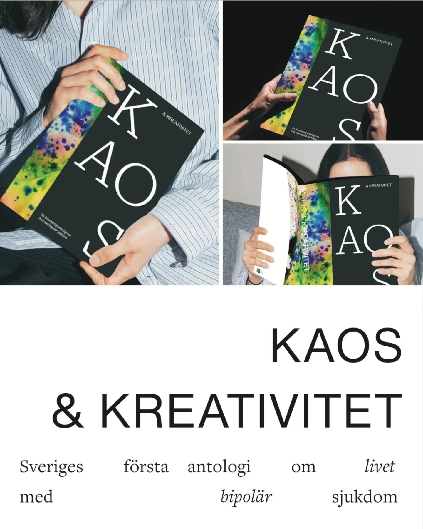 Kaos &amp; Kreativitet &ndash; Sveriges f&ouml;rsta antologi om livet med bipol&auml;r sjukdom.

En bok d&auml;r konst, poesi, noveller och reportage m&ouml;ts i en levande mosaik av inre v&auml;rldar. Nio personportr&auml;tt. Nio liv. Nio unika ber&